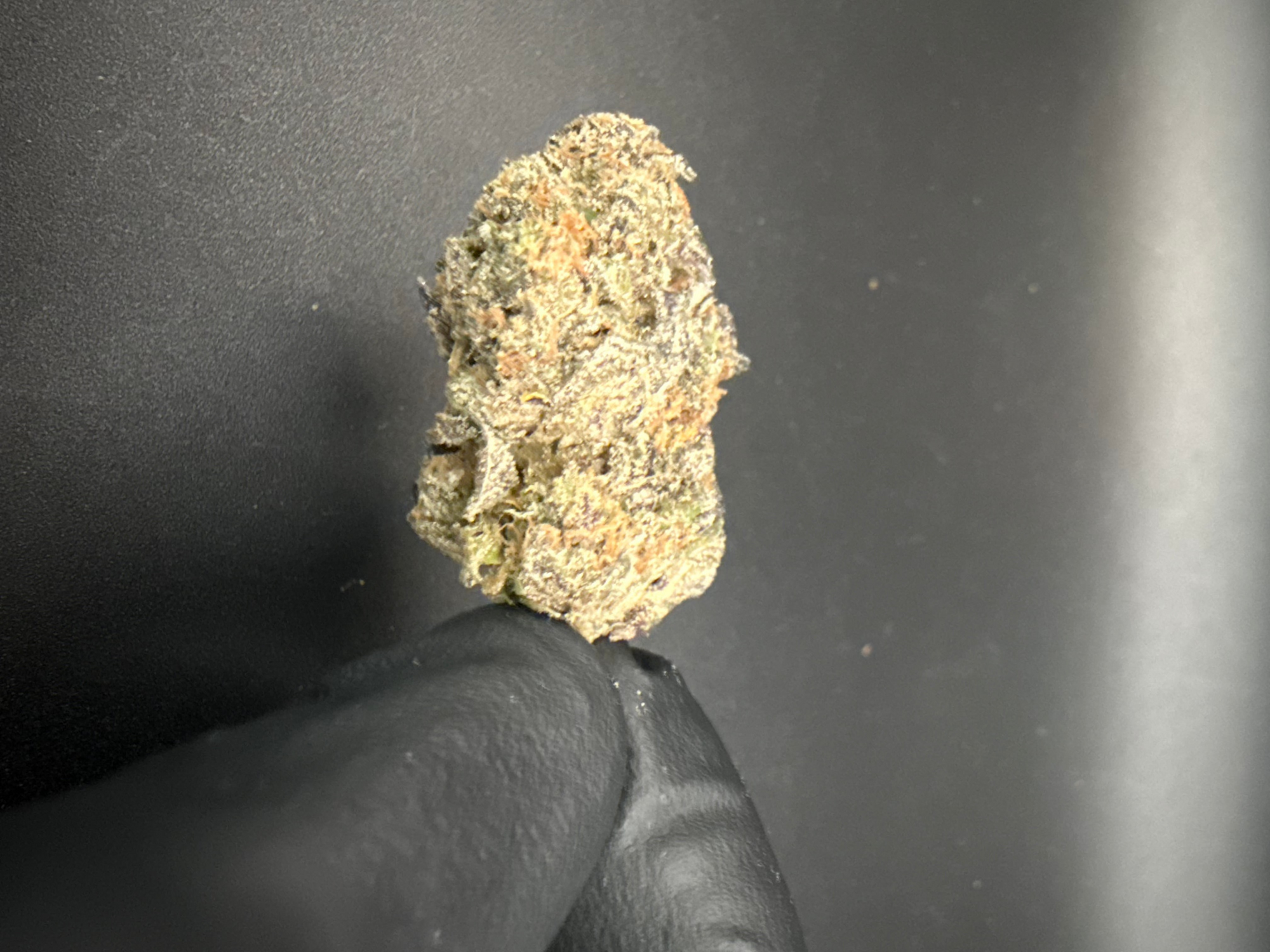 Grape Gas - Exotic THCa Flower