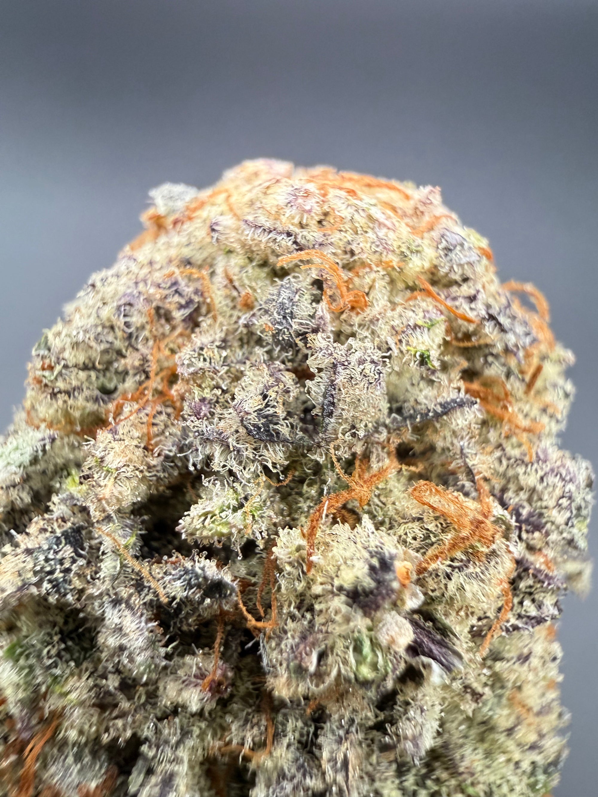 Grape Diesel -  Premium Bulk THCa Flower
