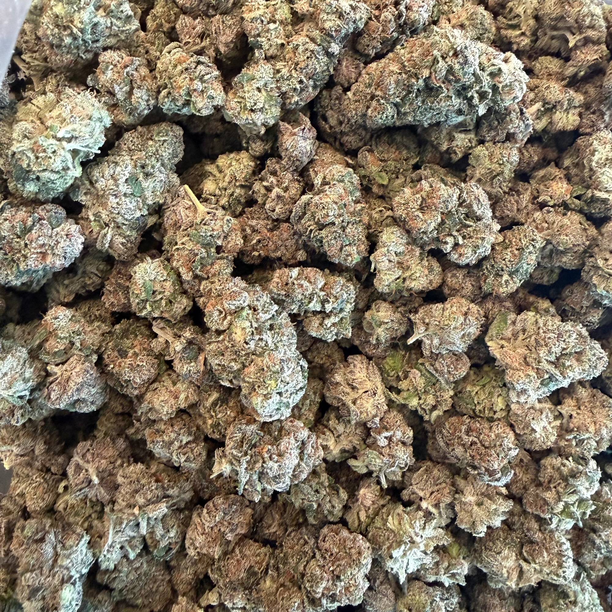 Tesoro Grape Gas THCa cannabis flower
