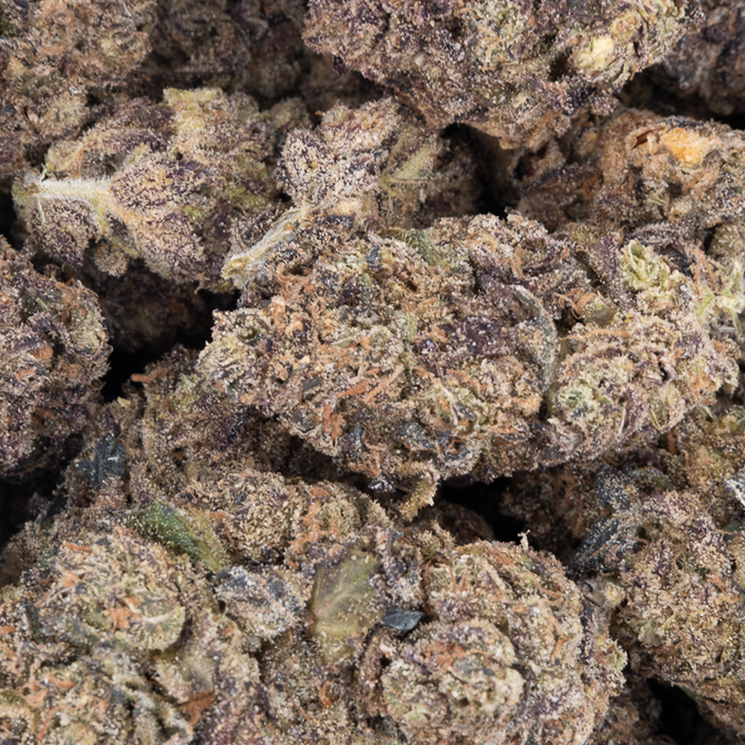 Tesoro Hashburger THCA Hemp Flower