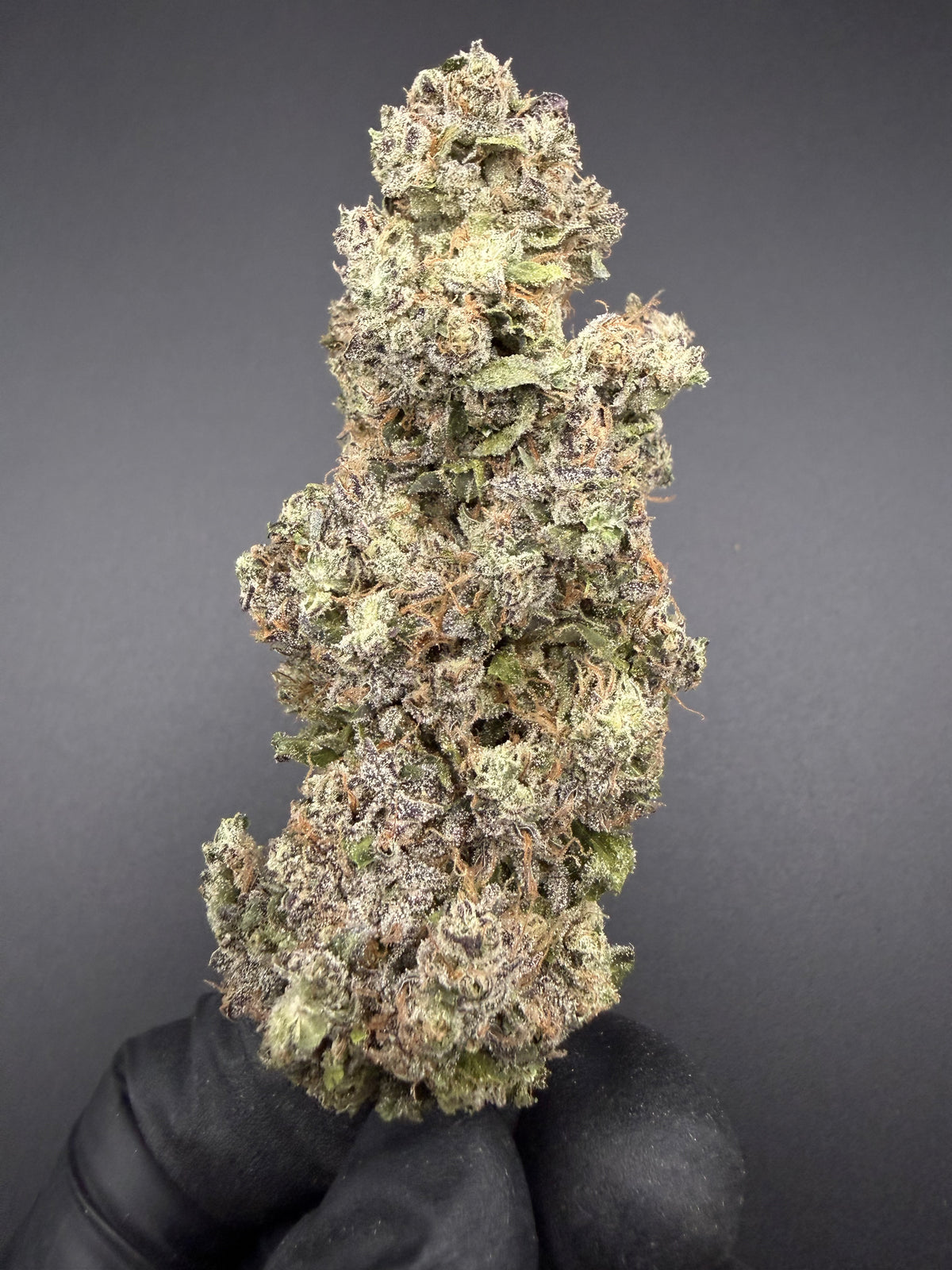Hyper Za - Exotic Bulk THCa Flower