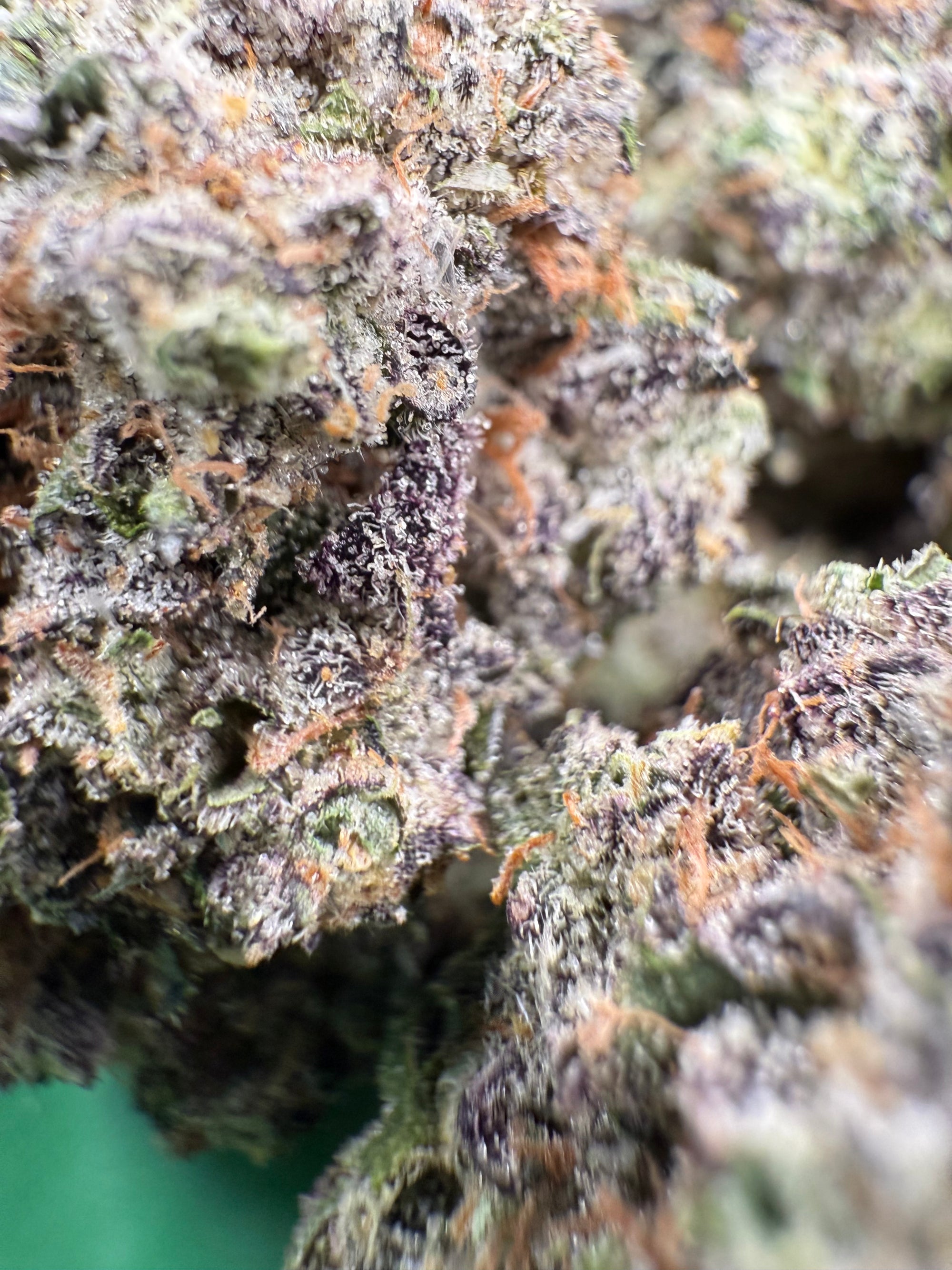 Hashburger