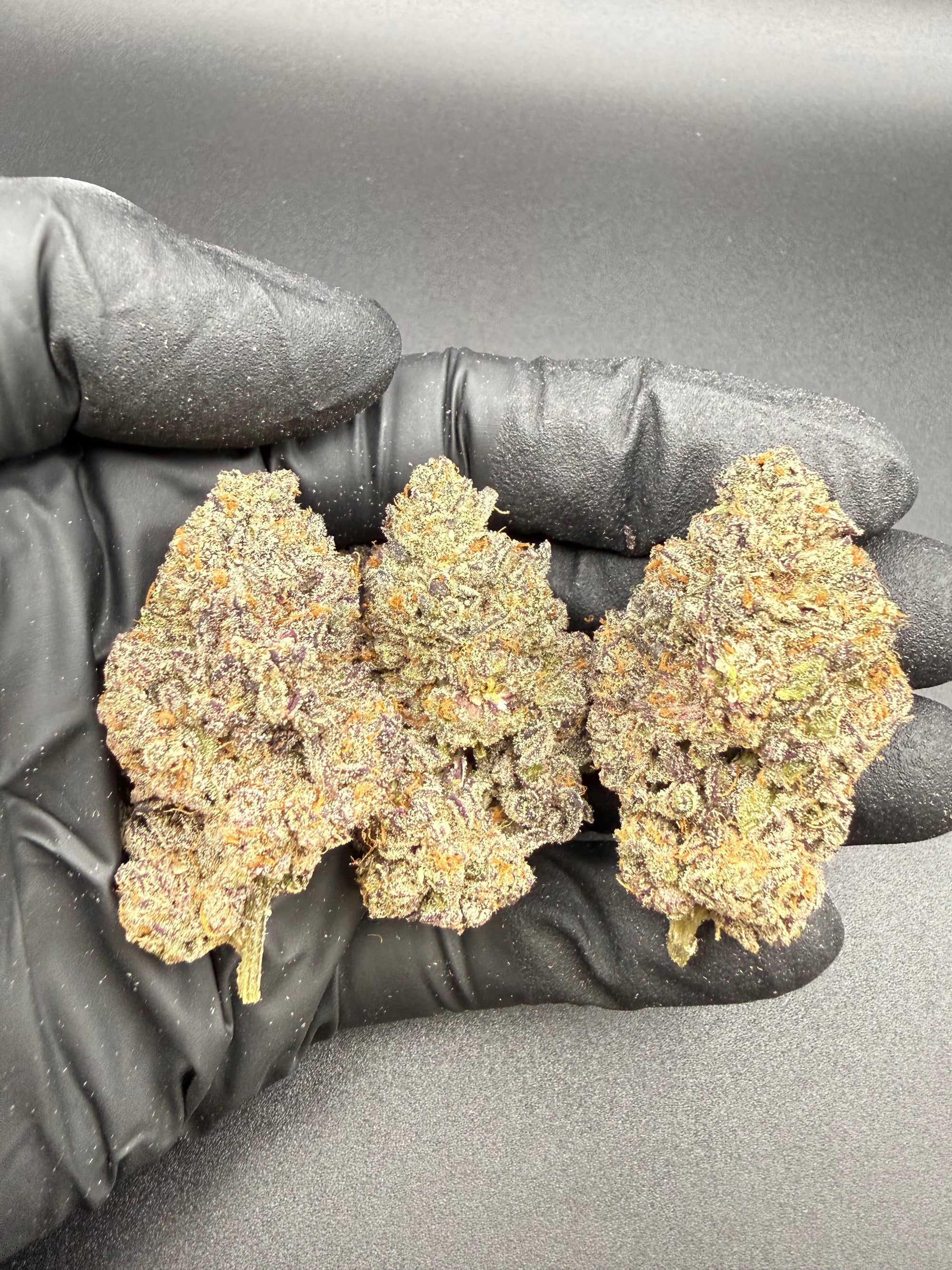 Ice Cream Cake -  Premium Bulk THCa Flower