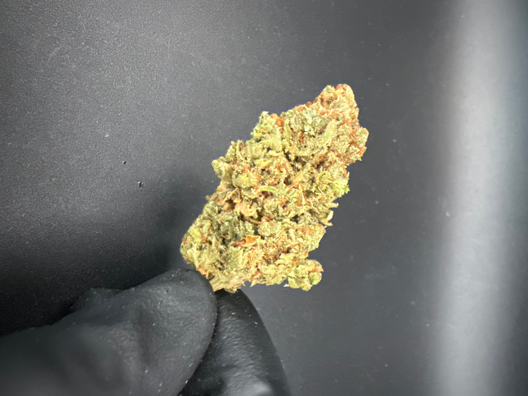 Jack Herer - Economy Bulk THCa Flower