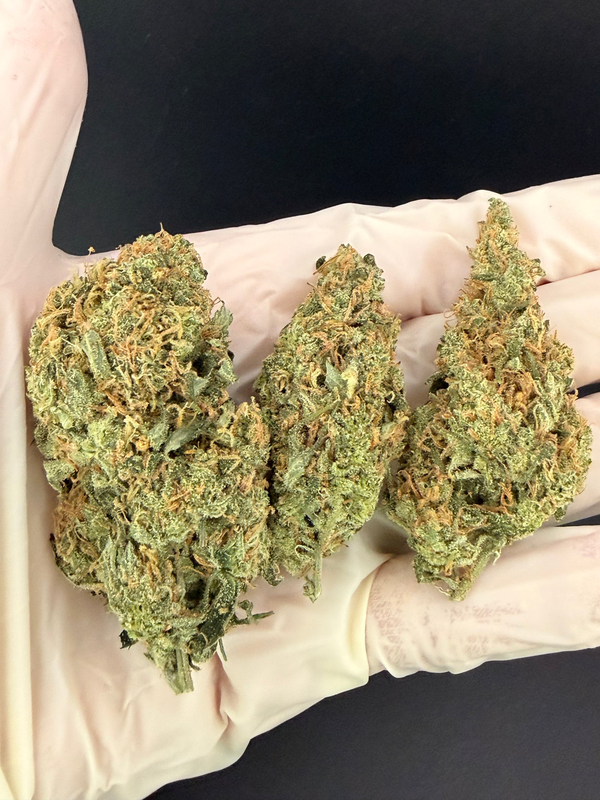 Jack Herer - Exotic THCa Flower