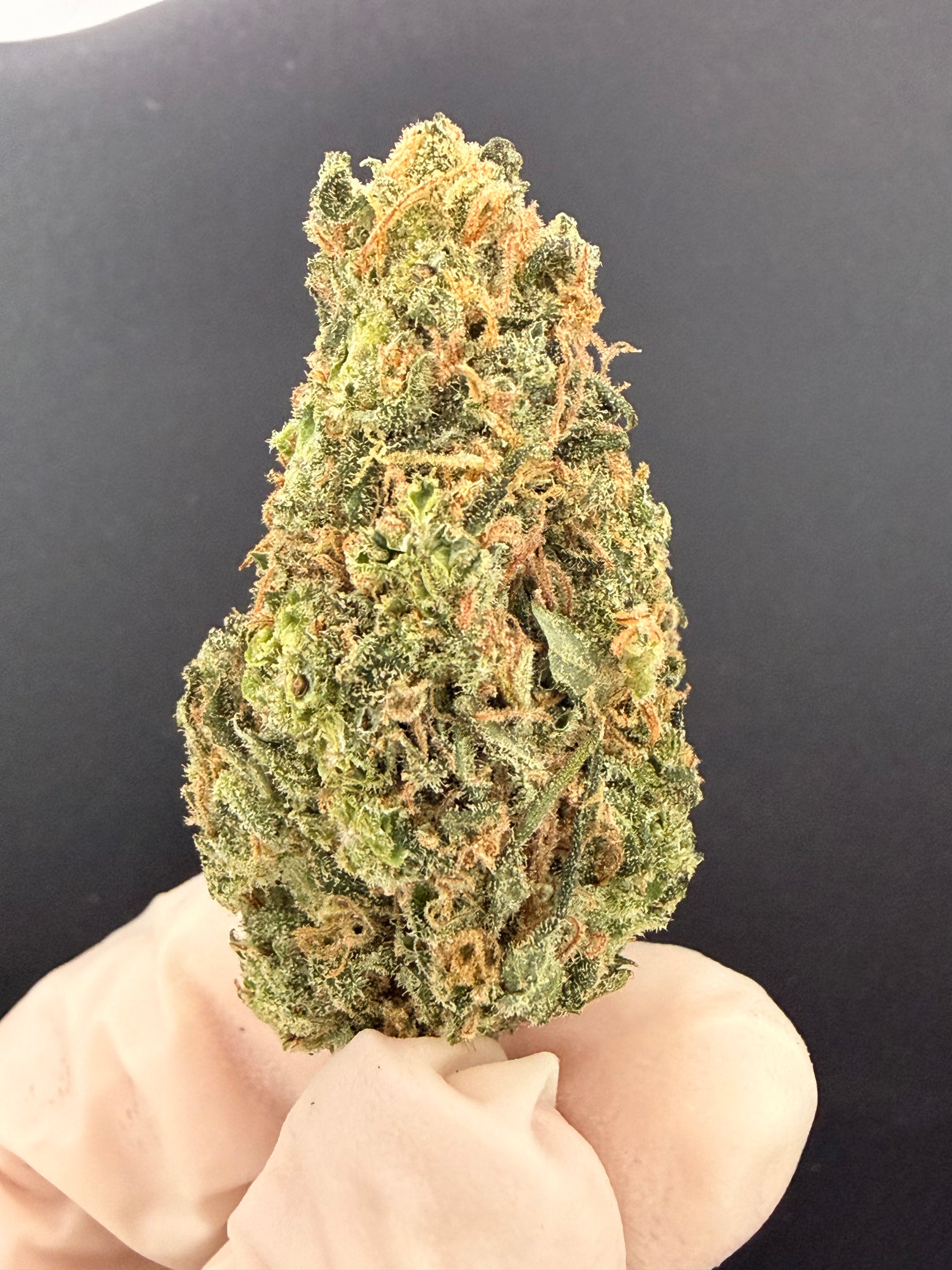 Jack Herer - Exotic THCa Flower