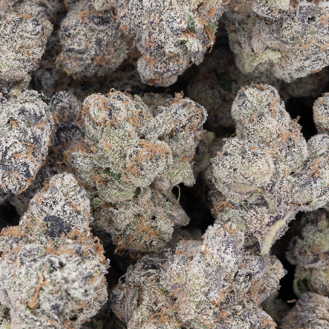 Tesoro Lemon Cherry Gelato THCA Hemp Flower