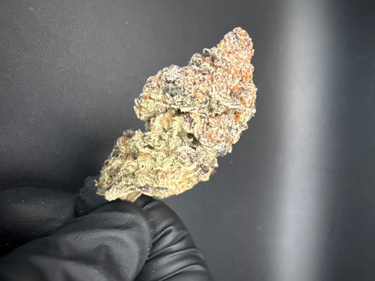 Lychee Fritter - Exotic Bulk THCa Flower