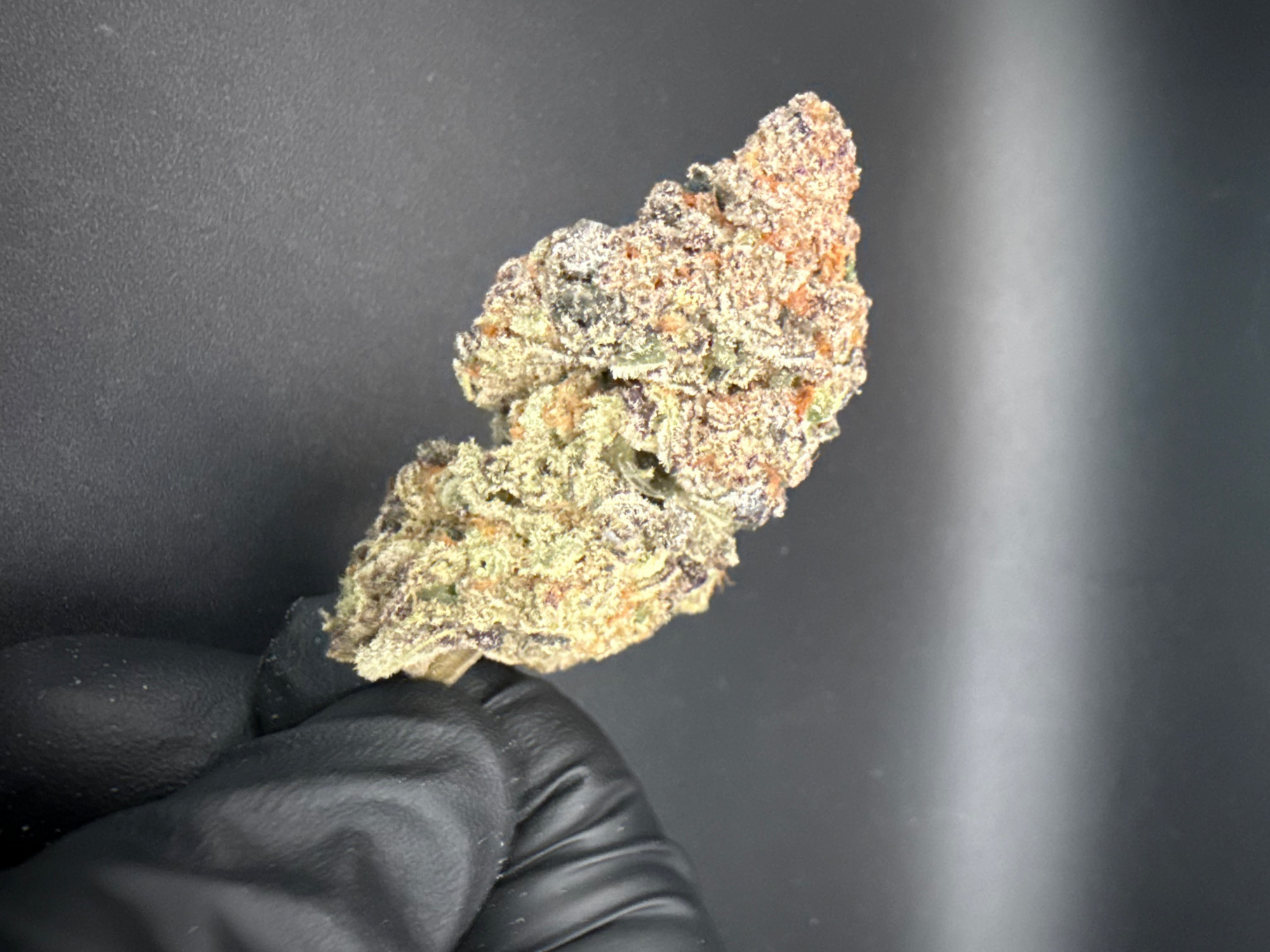 Lychee Fritter - Exotic THCa Flower