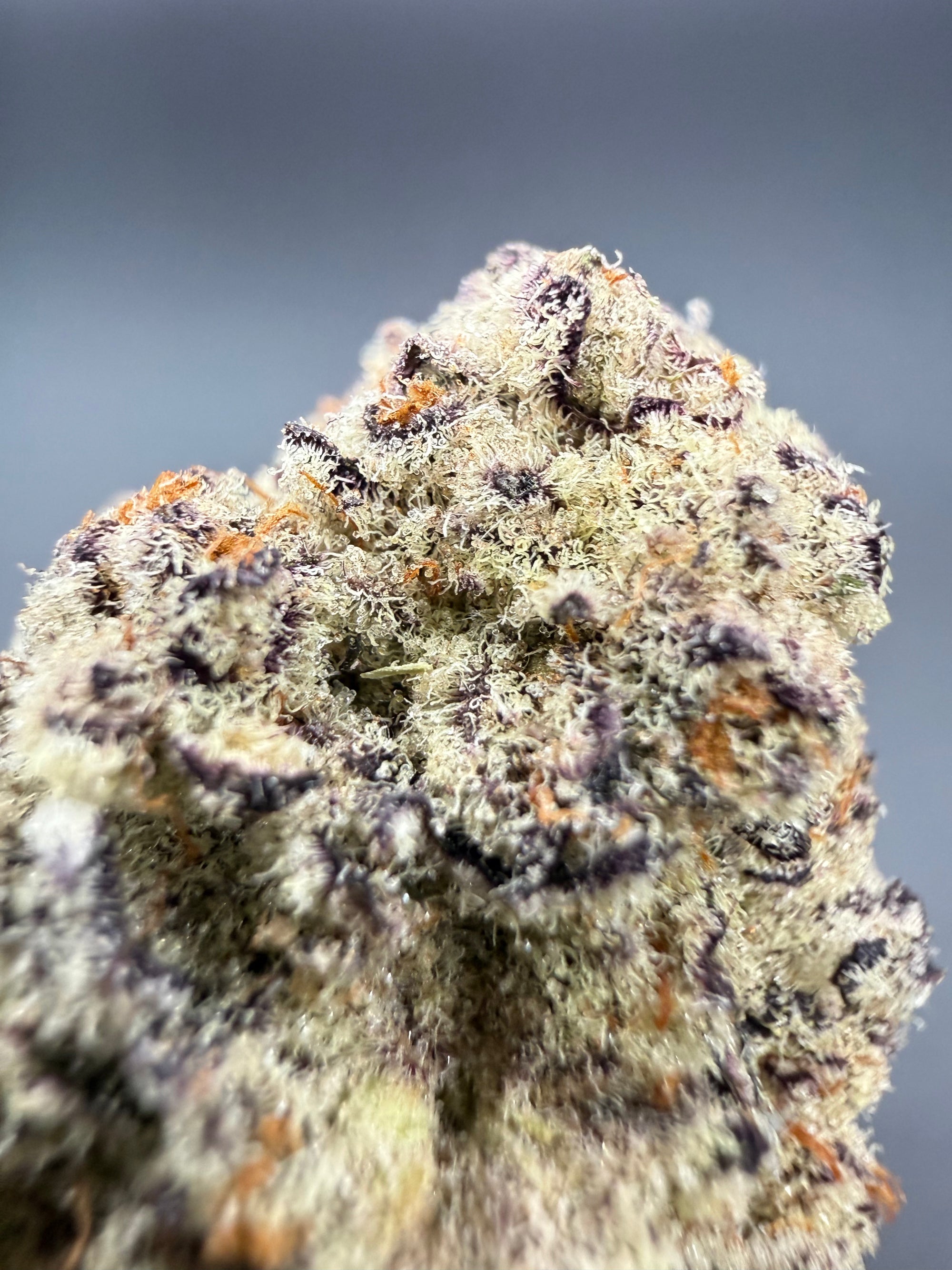 Lychee Fritter -  Exotic Bulk THCa Flower