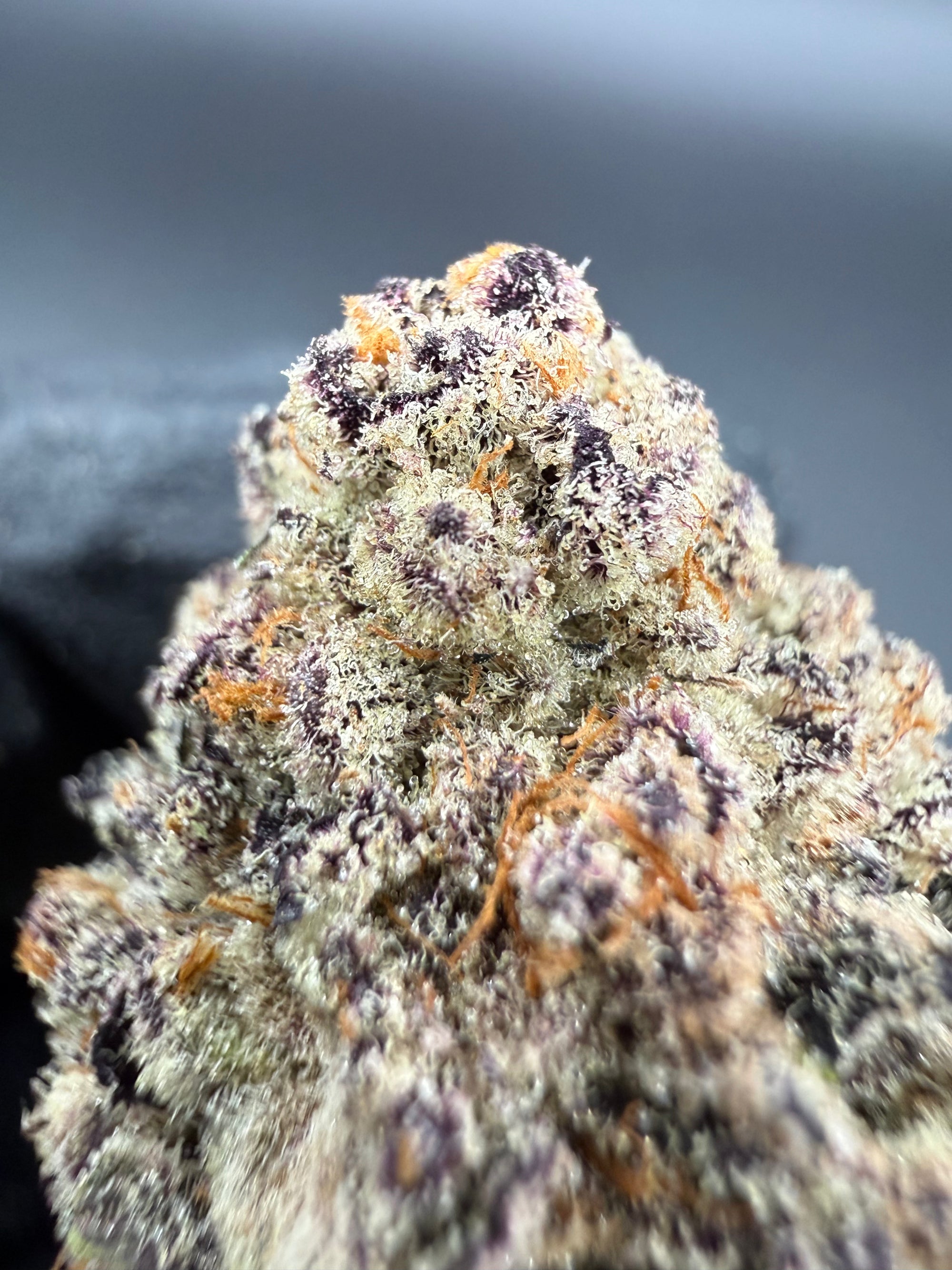 Lychee Fritter -  Exotic Bulk THCa Flower