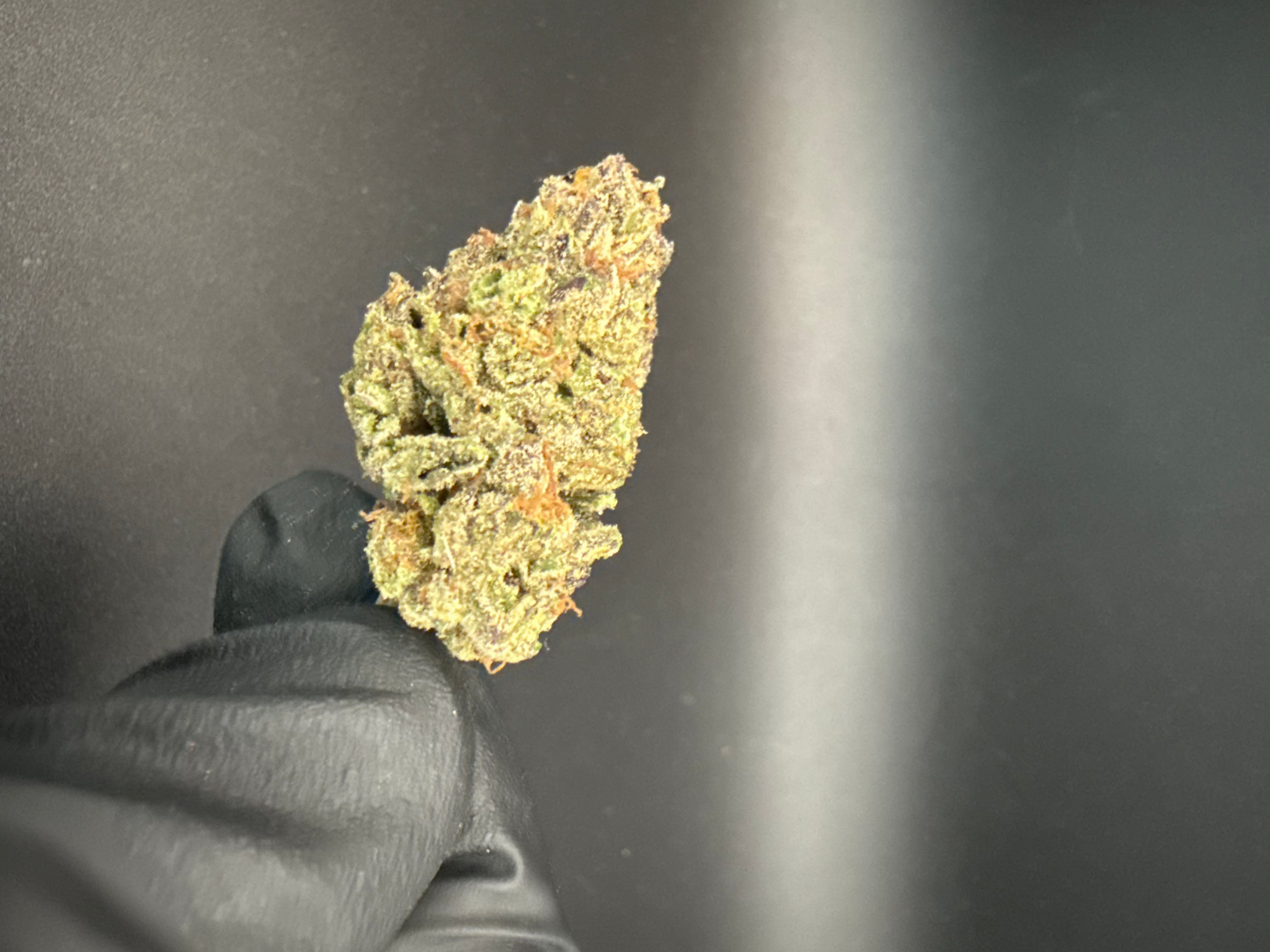 Marshmallow Runtz - Economy Bulk THCa Flower