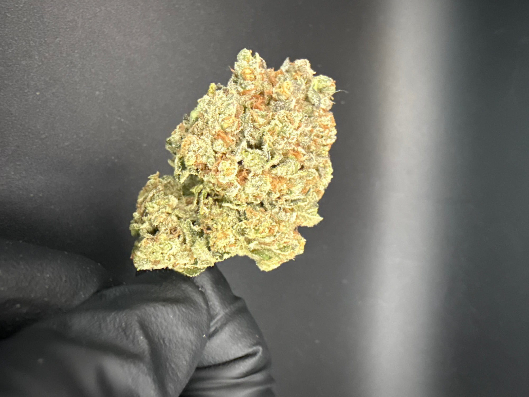 Meat Breath- Exotic THCa Flower