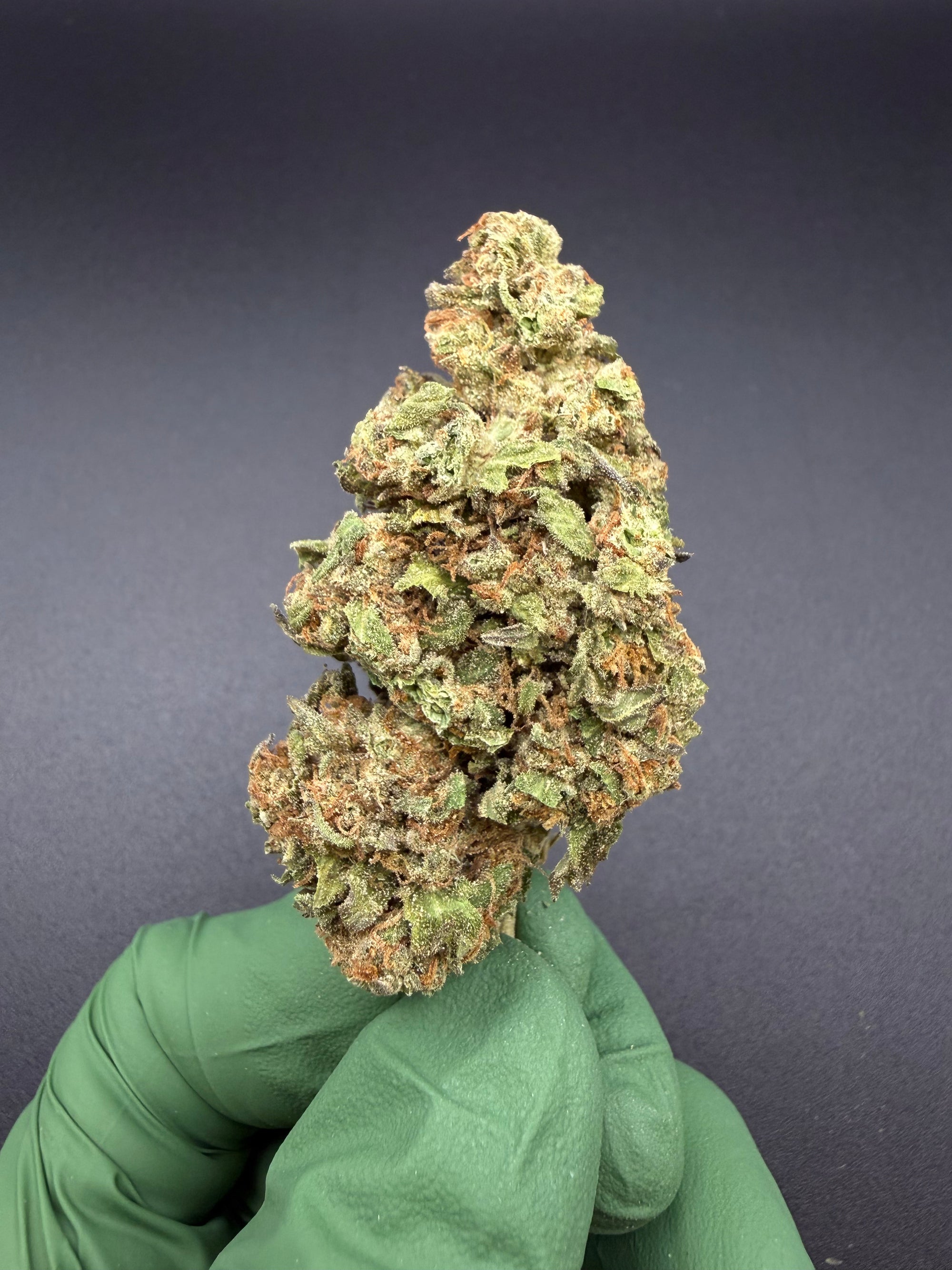 Moroccan Peaches - Bulk Economy THCa Flower