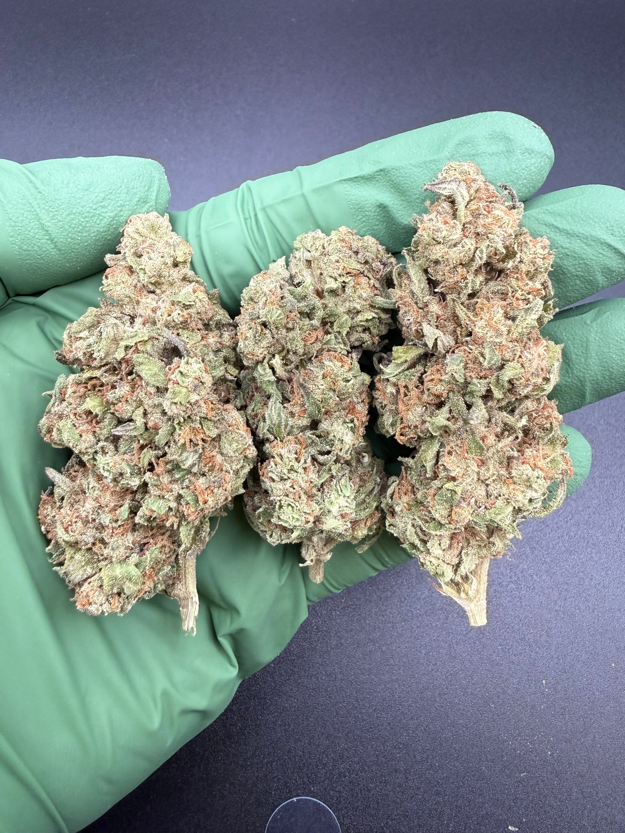 Moroccan Peaches - Bulk Economy THCa Flower