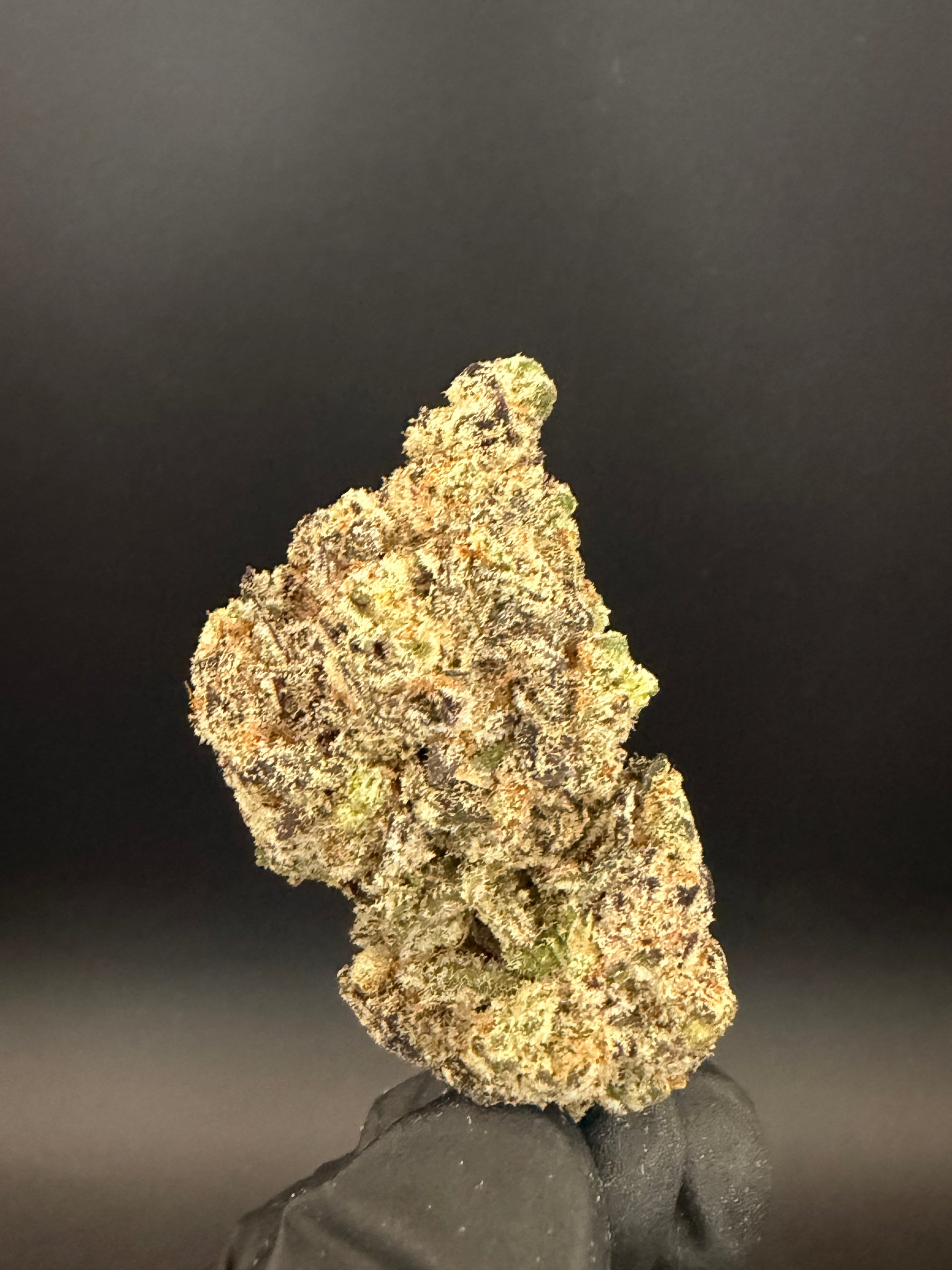 Mule Fuel - Exotic Bulk THCa Flower