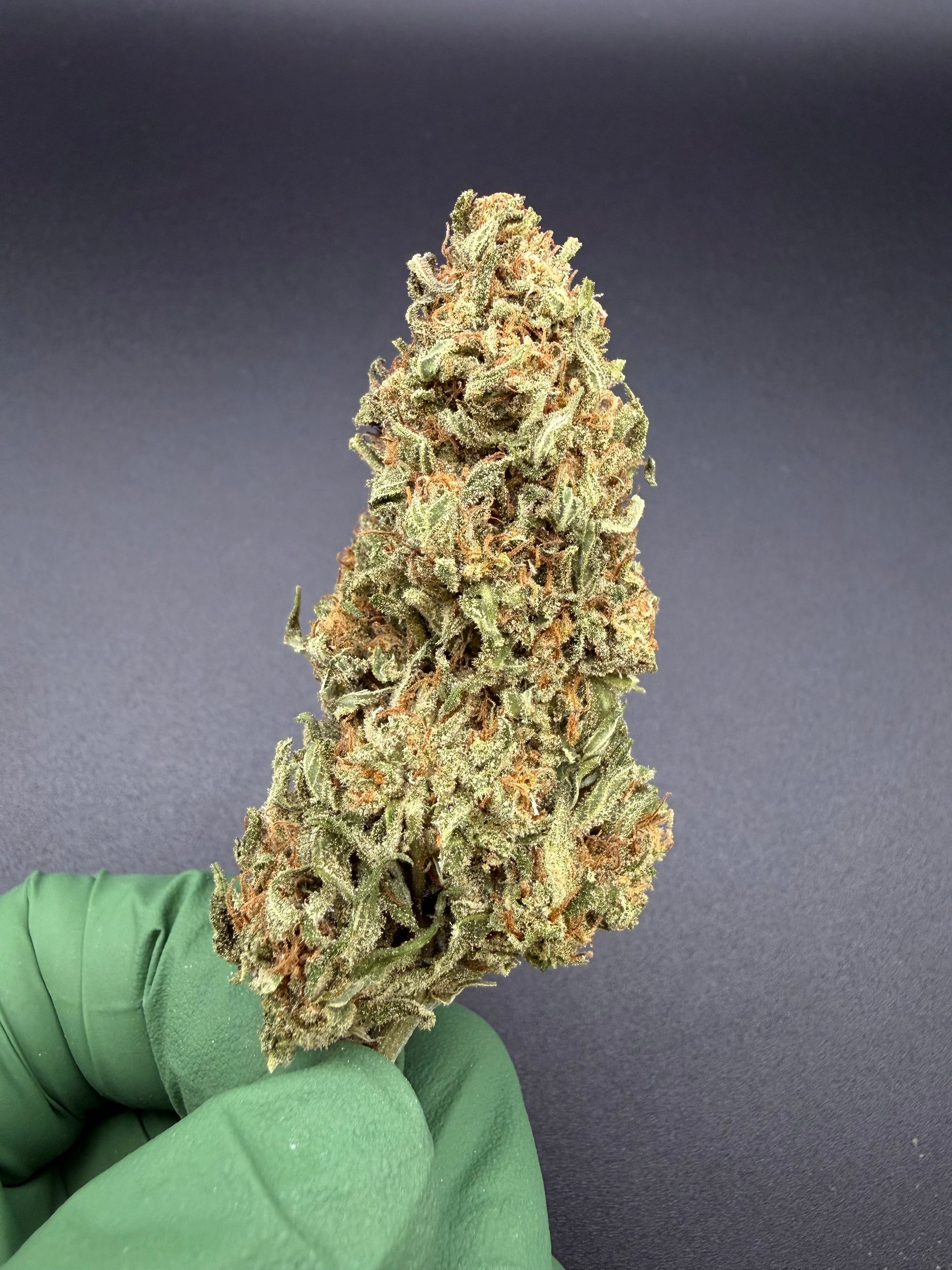 Northern Lights - Bulk Economy THCa Flower