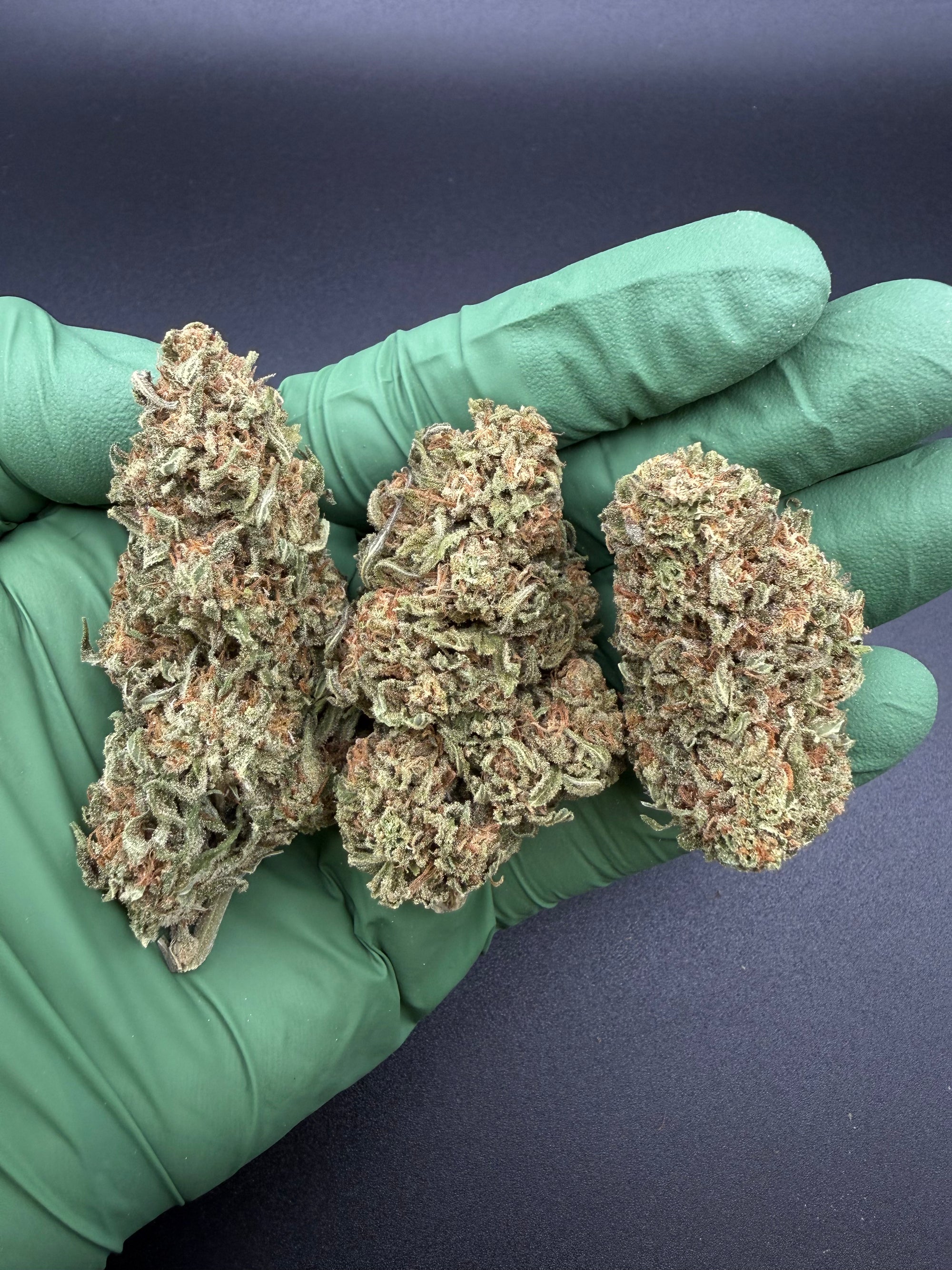 Northern Lights - Bulk Economy THCa Flower