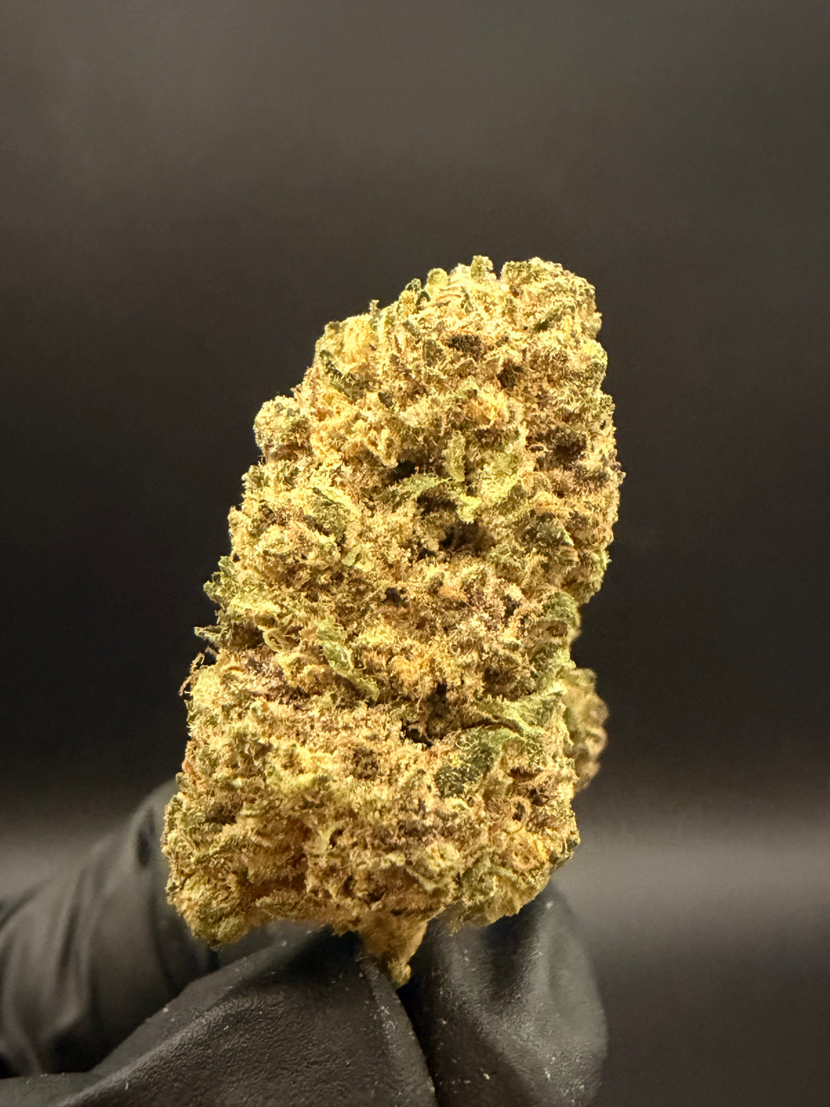 Obama Kush - Economy THCa Flower