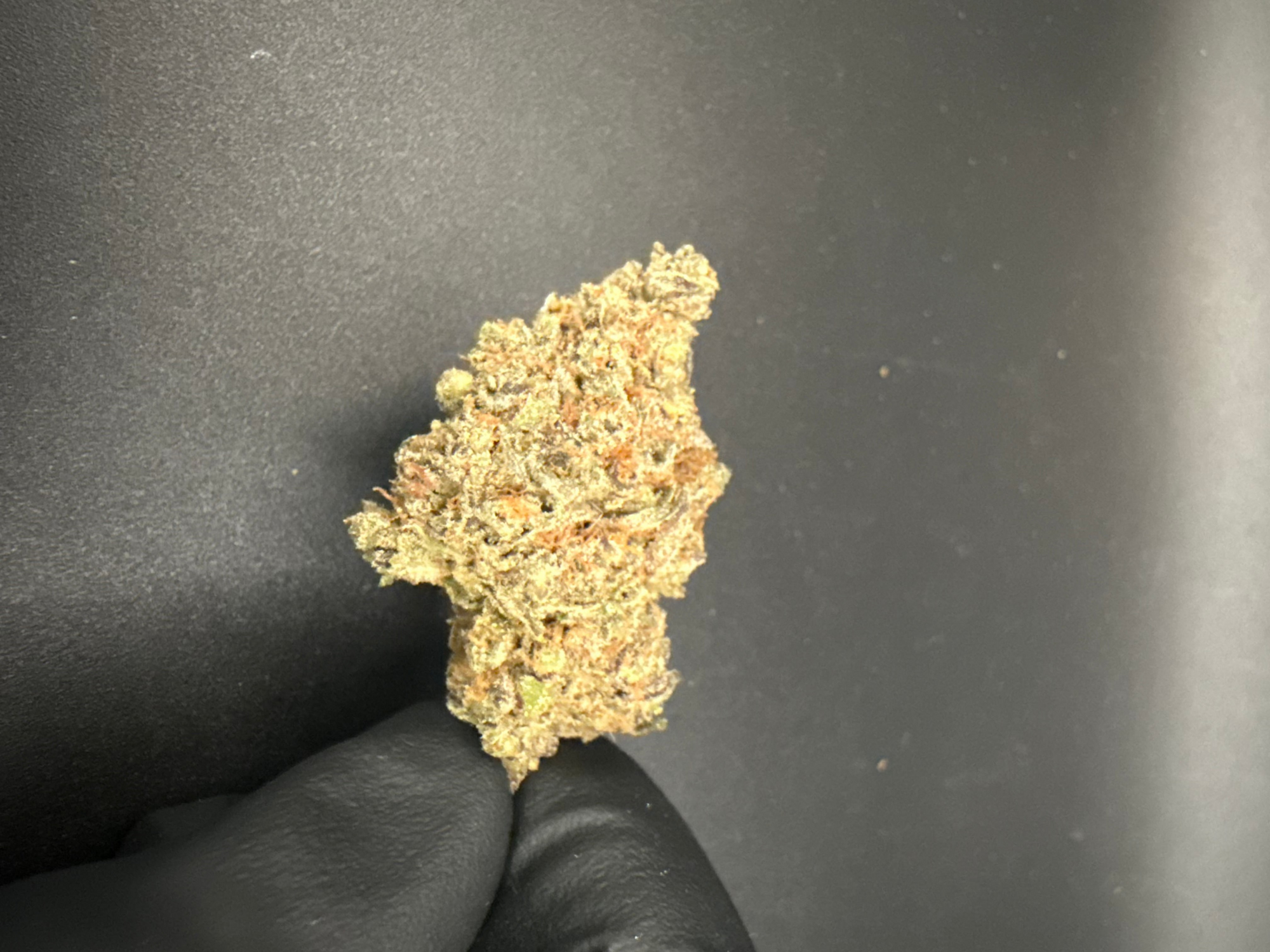 Ogre Breath - Premium Bulk THCa Flower
