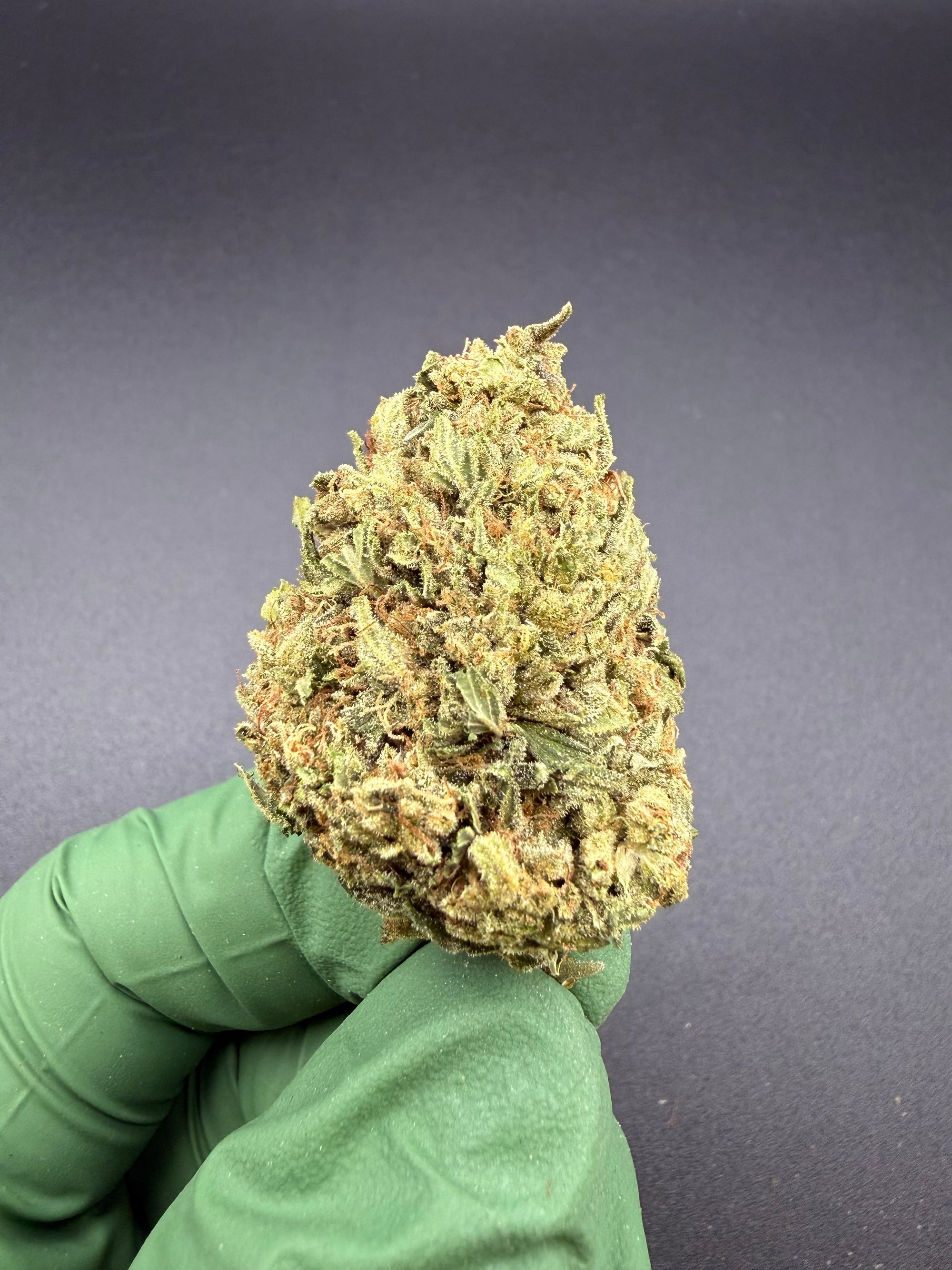 Orange Push Pop - Bulk Economy THCa Flower