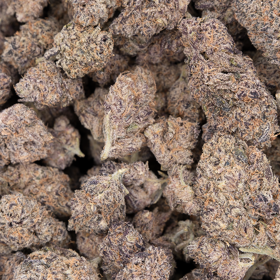 Tesoro Premium Pancakes THCA Flower