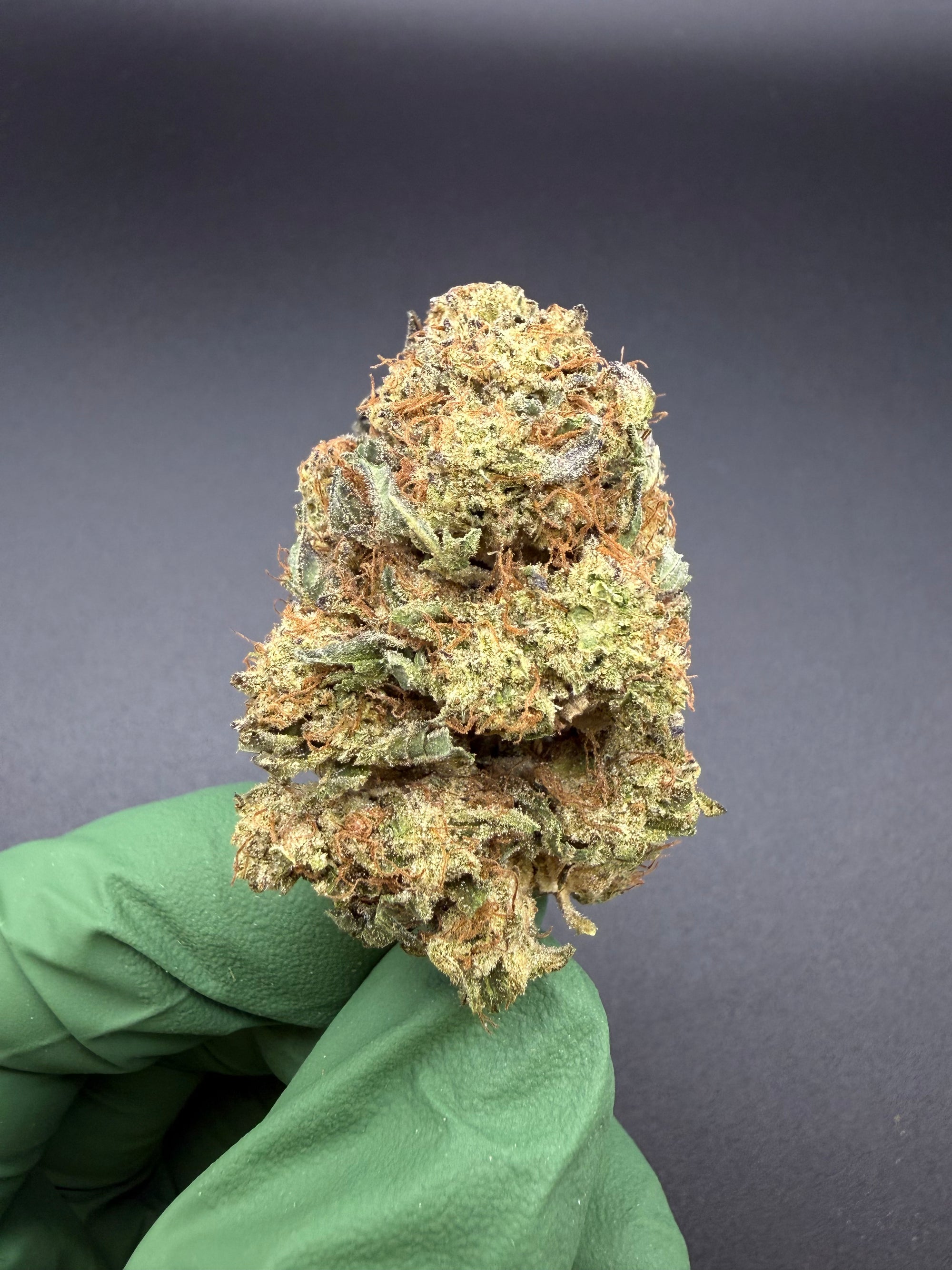 Papaya Cake - Bulk Economy THCa Flower