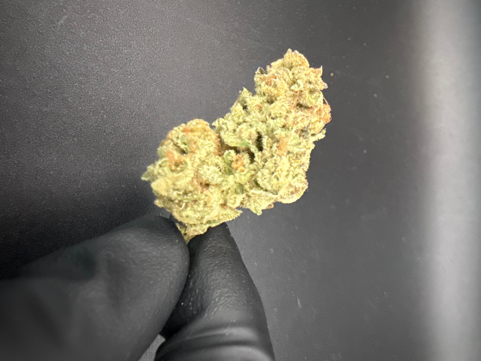 Punch Breath - Economy THCa Flower