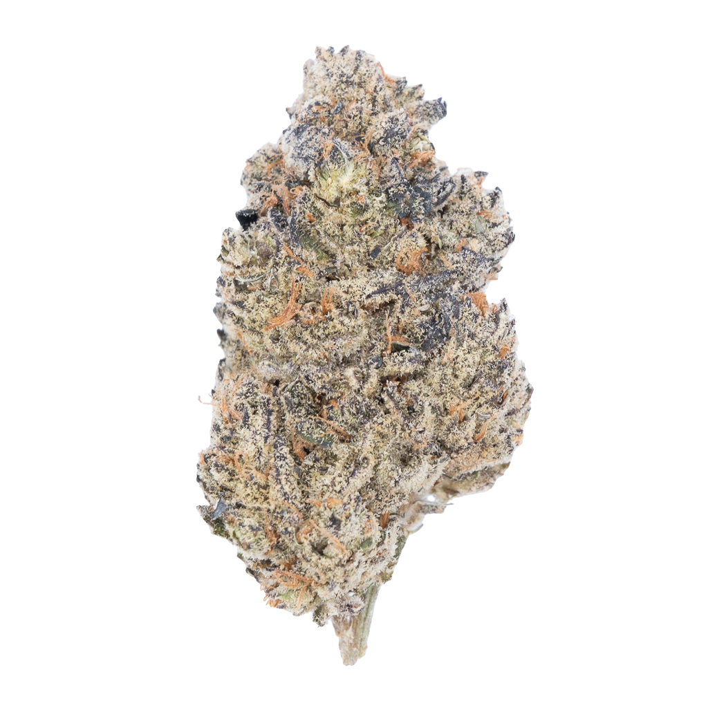 Tesoro Purple Churro THCA Hemp Flower
