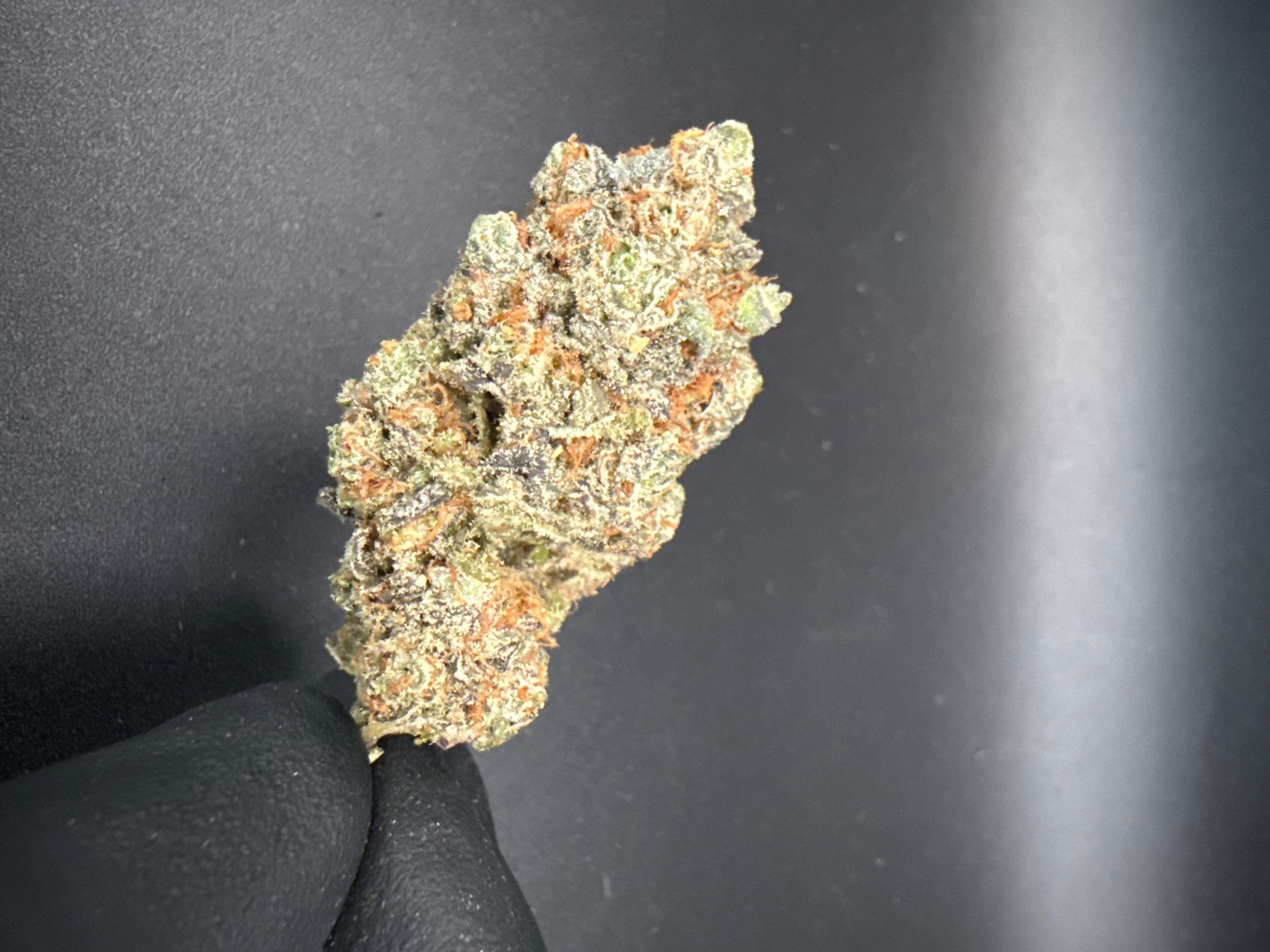 Purple Milk - Exotic THCa Flower