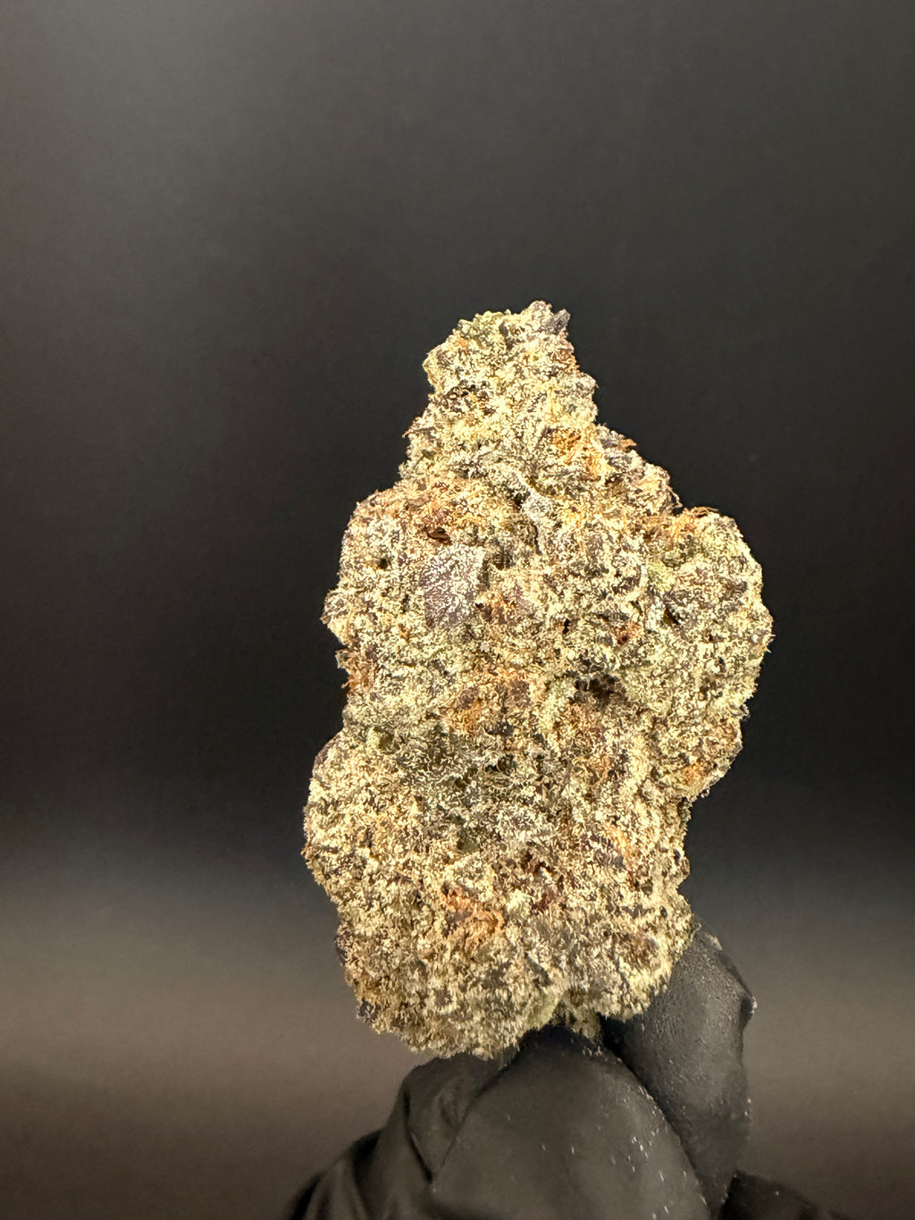 Purple Daiquiri - Exotic THCa Flower