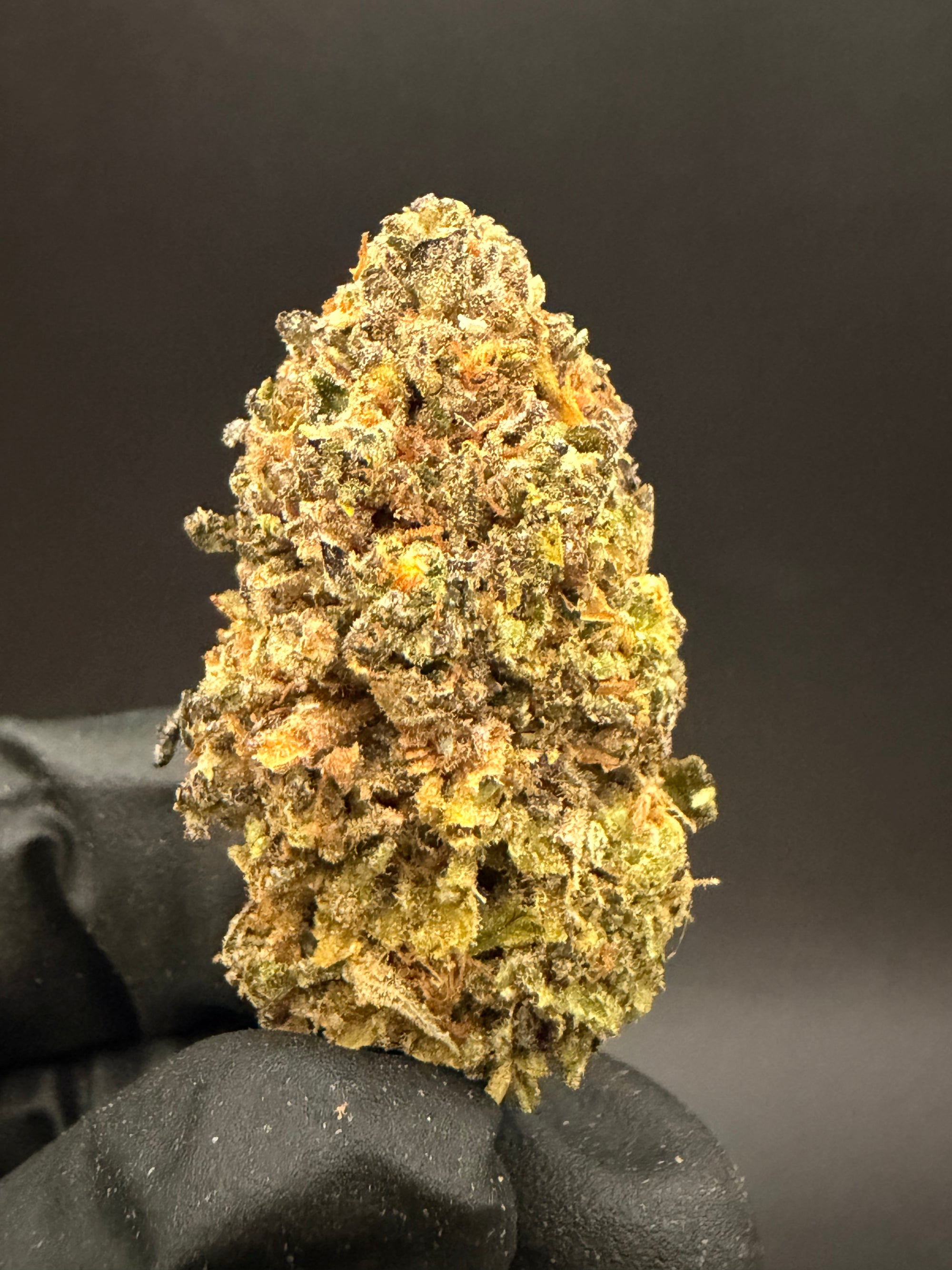 Purple Milk - Premium THCa Flower
