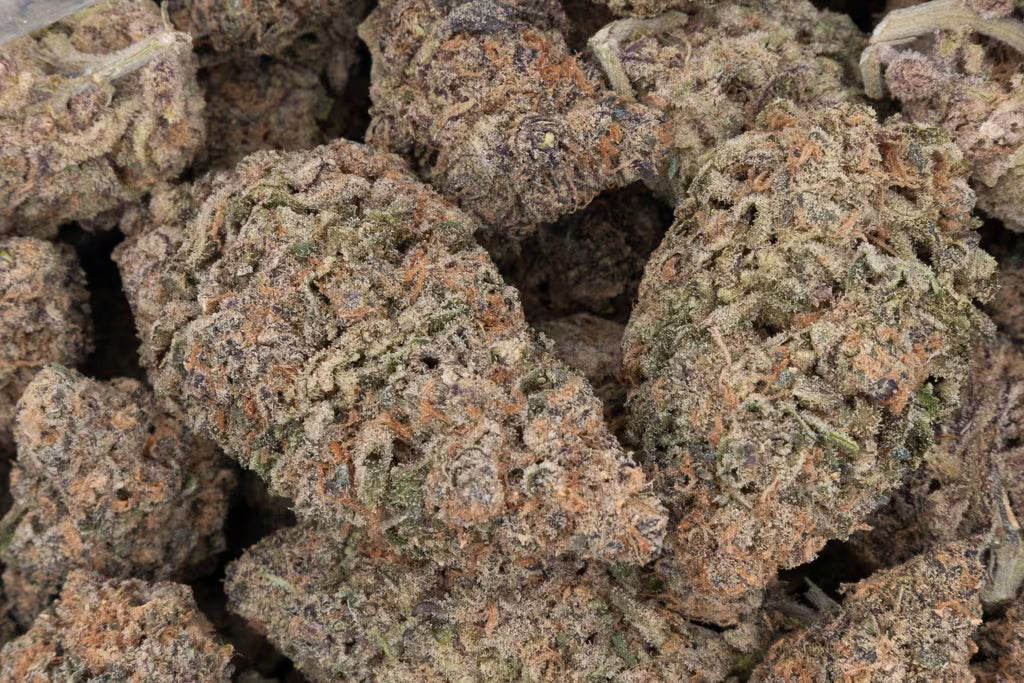 Tesoro Rainbow Sherbert THCA Flower