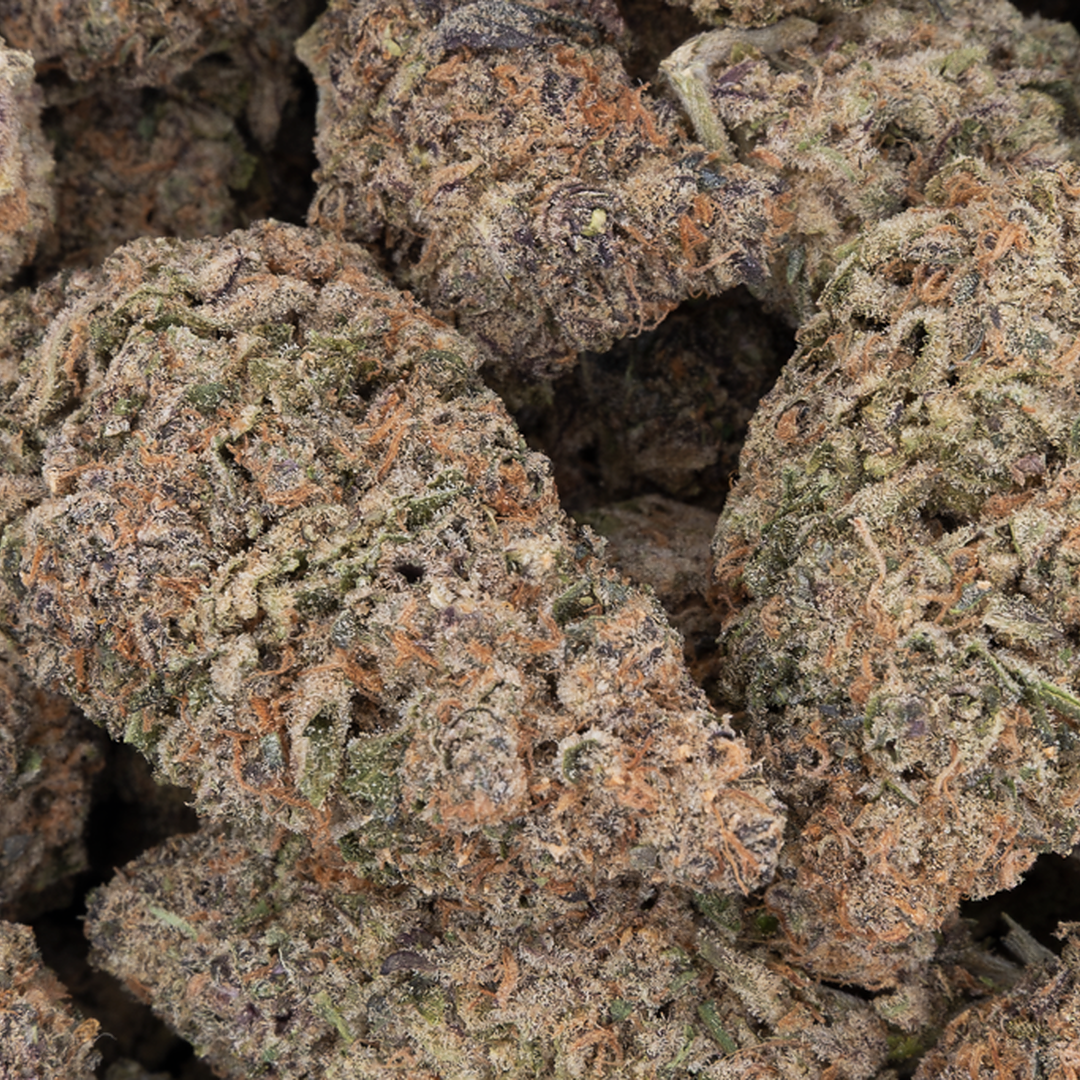 Tesoro Rainbow Sherbert THCA Hemp Flower