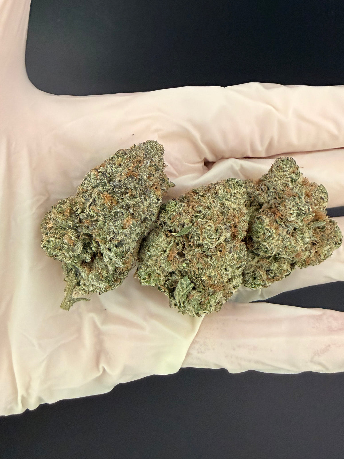 Rainbow Belts - Exotic THCa Flower