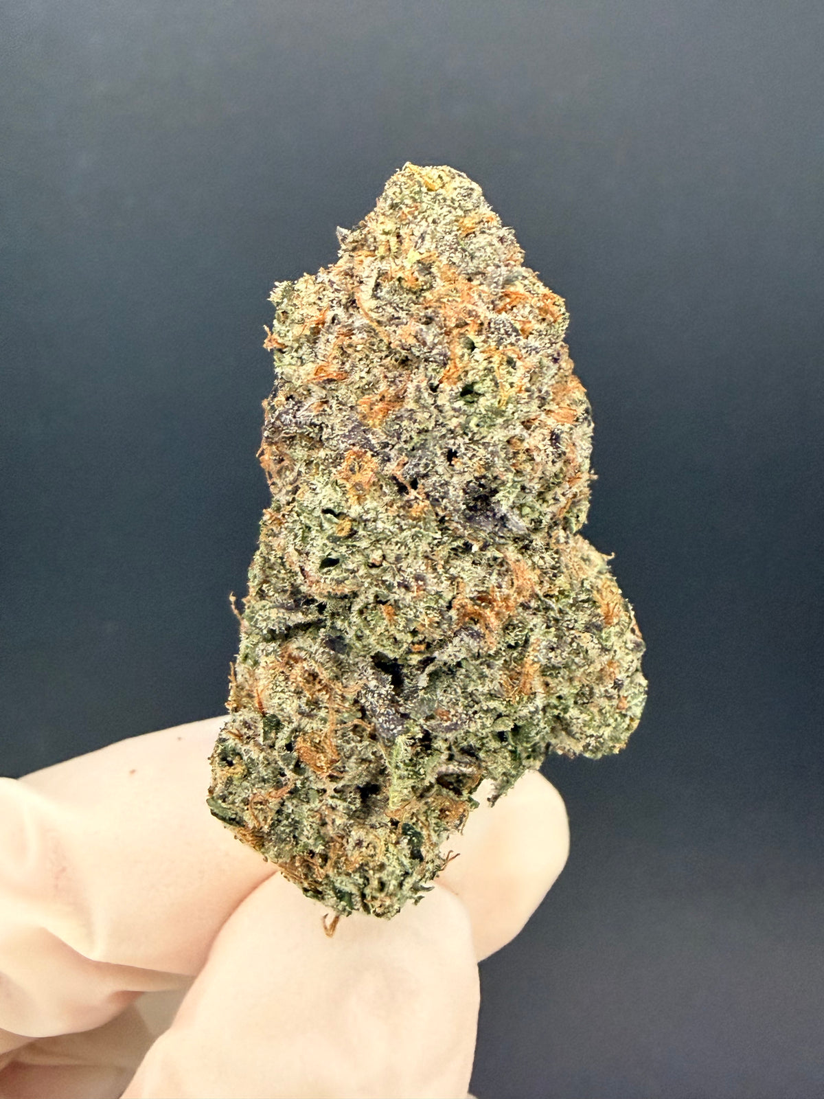 Rainbow Belts - Exotic THCa Flower