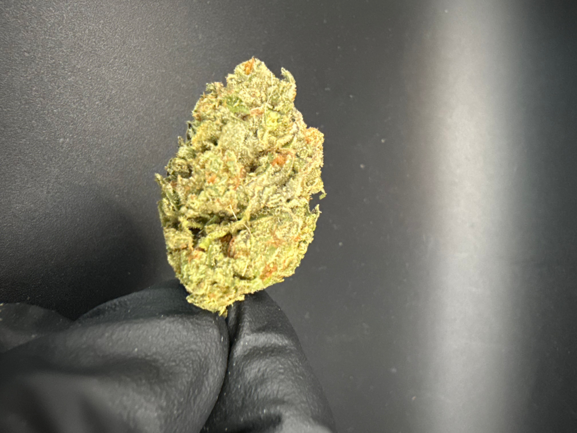 Smash Burger - Premium Bulk THCa Flower