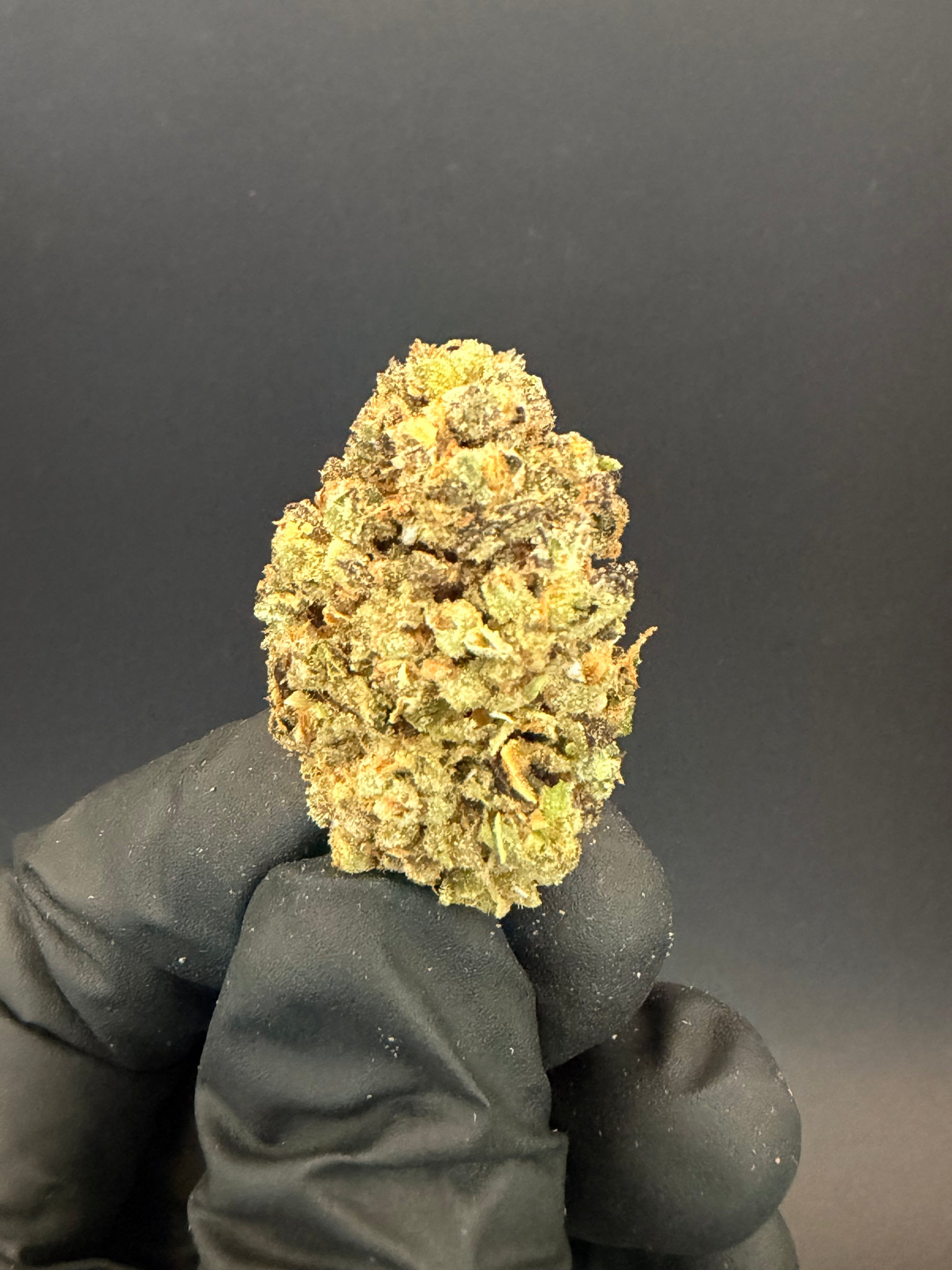 Spritzer - Premium THCa Flower