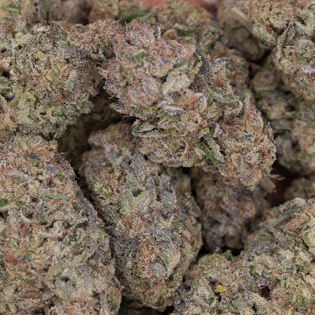 Tesoro Stardust THCA Hemp Flower