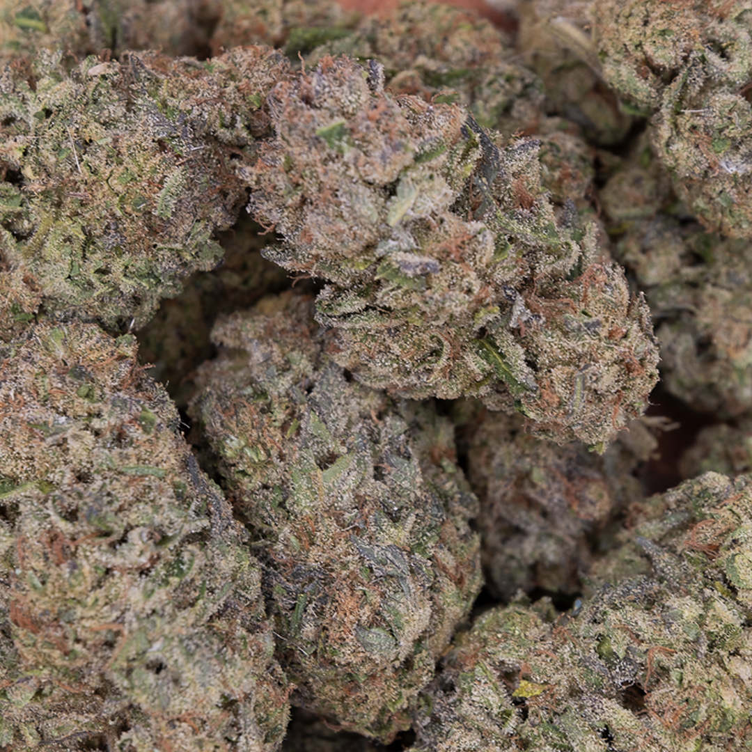 Tesoro Stardust THCA Hemp Flower