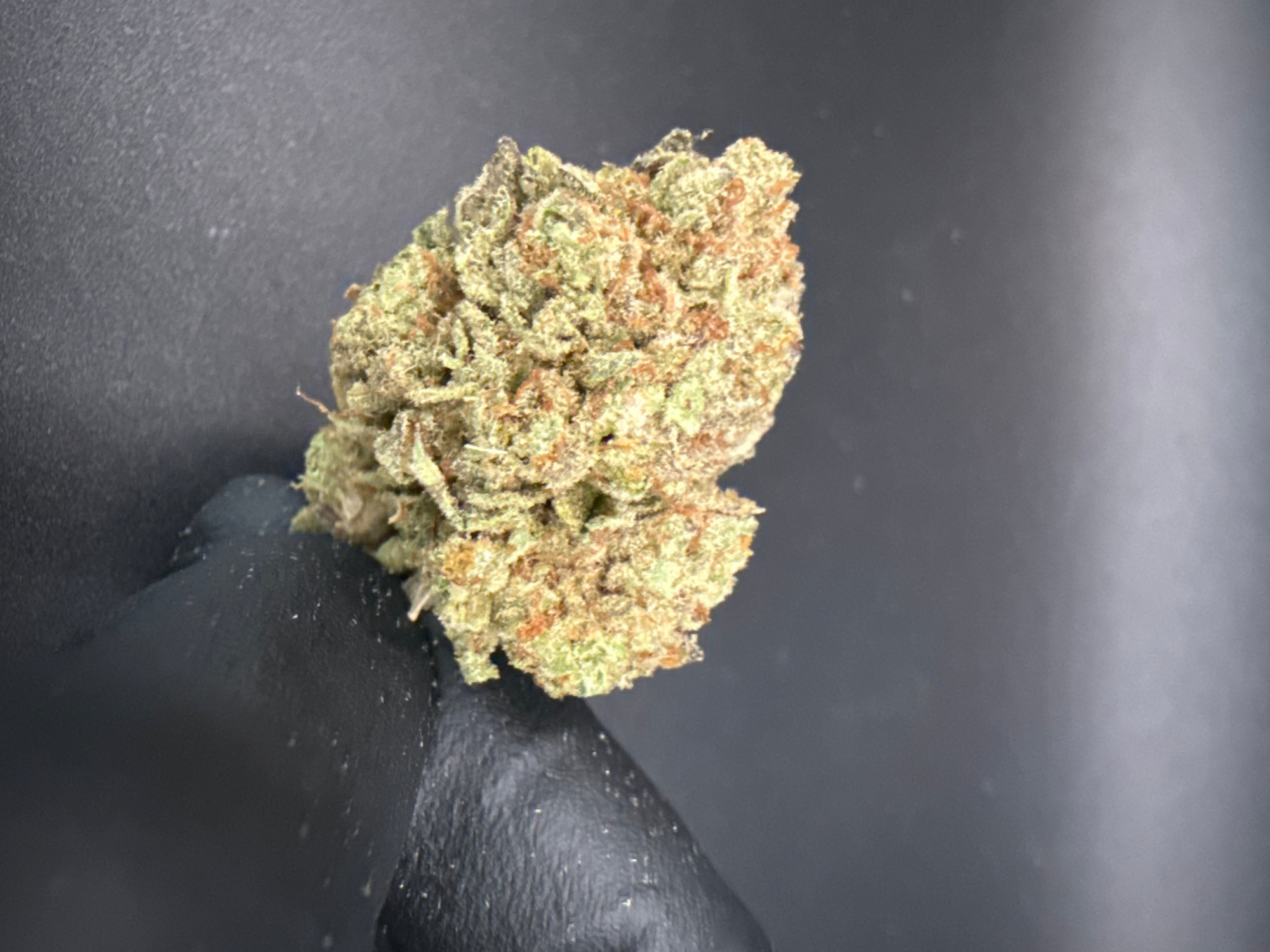 Sticky Buns - Economy Bulk THCa Flower