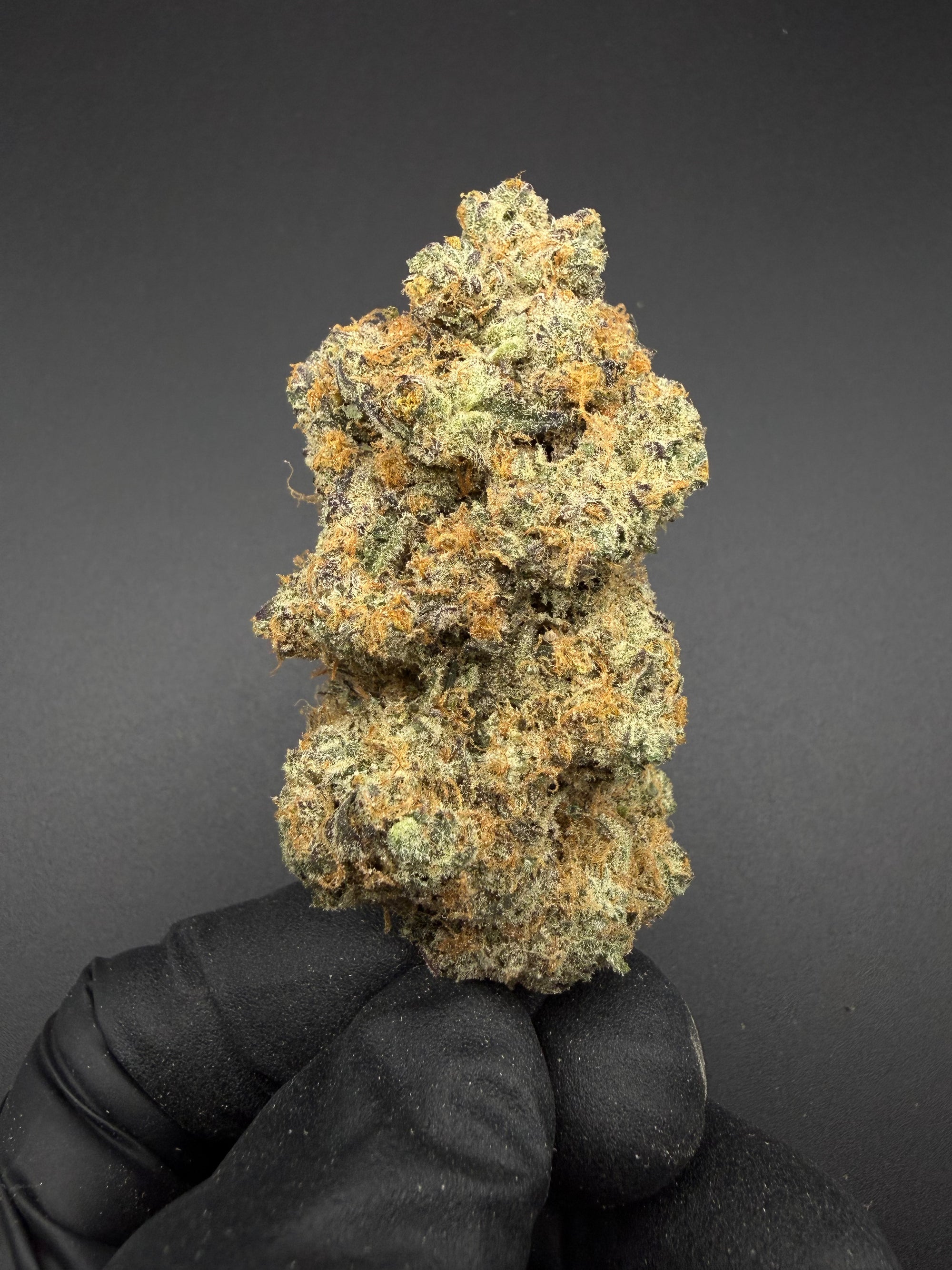 Tiger's Blood - Exotic THCa Flower
