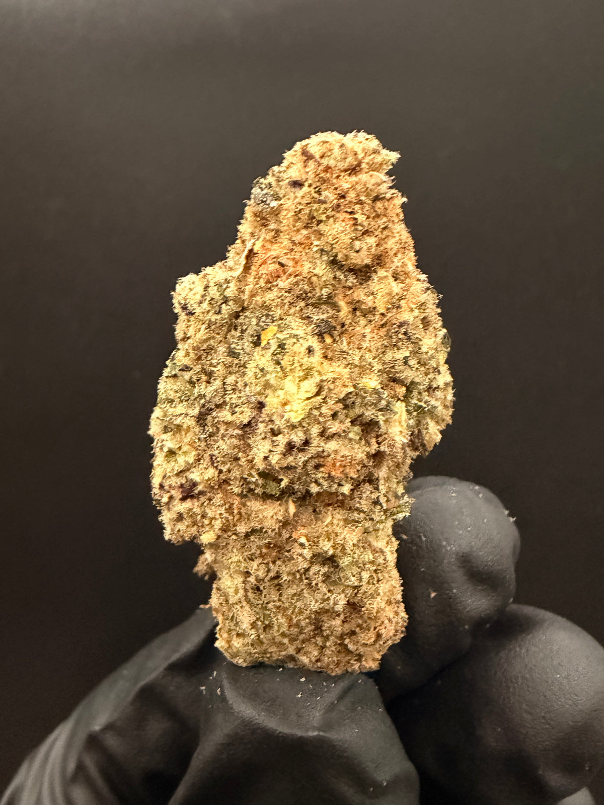 Trap Fuel - Exotic THCa Flower