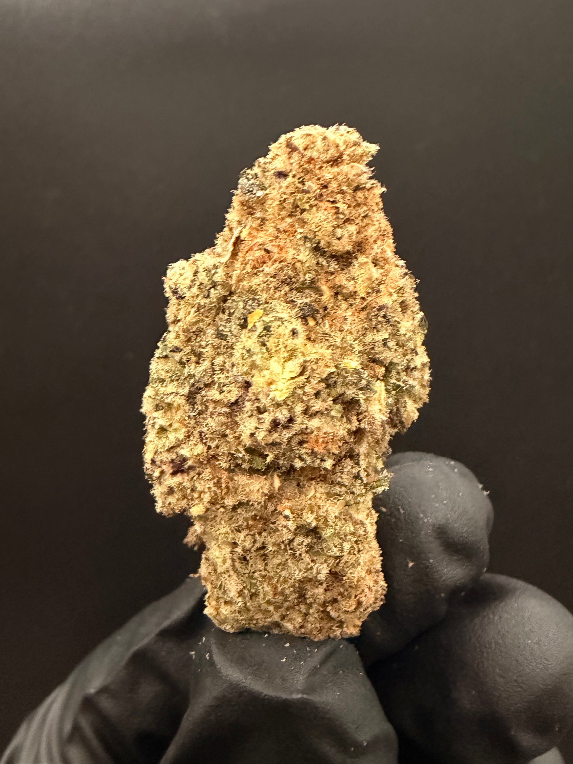 Trap Fuel - Exotic Bulk THCa Flower