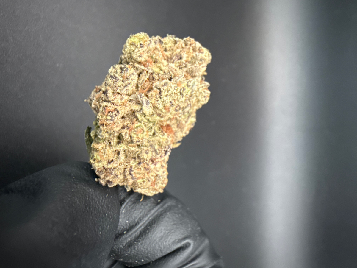Trapzilla - Premium Bulk THCa Flower