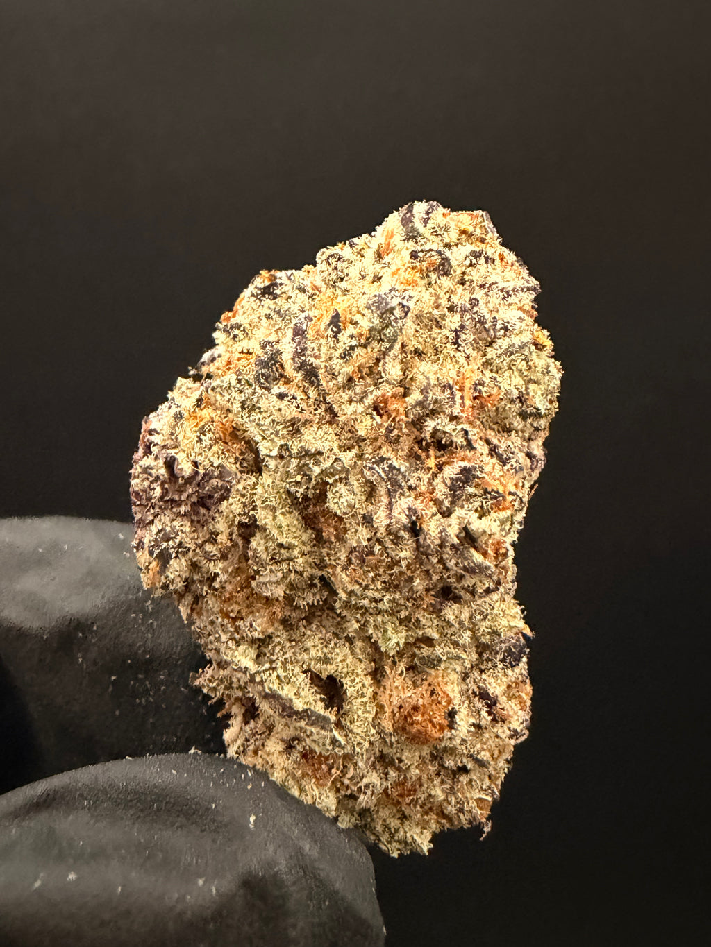 Trapzilla- Exotic THCa Flower