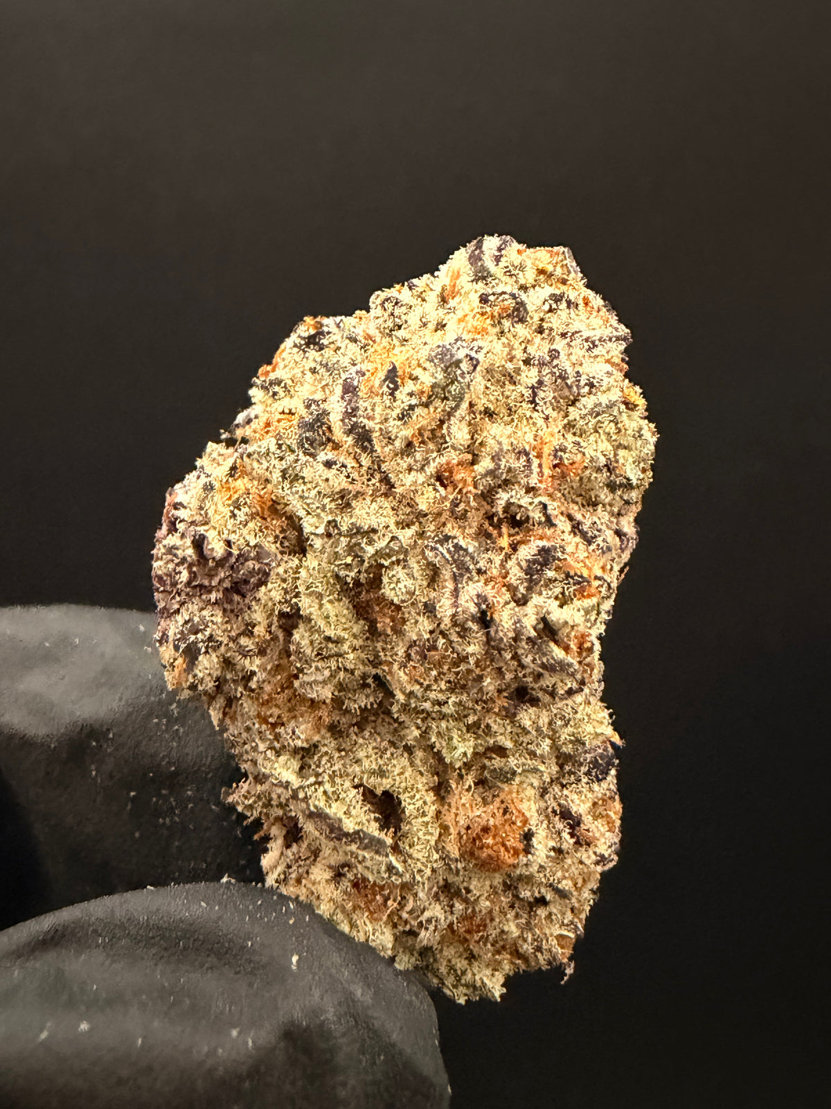 Trapzilla- Exotic THCa Flower
