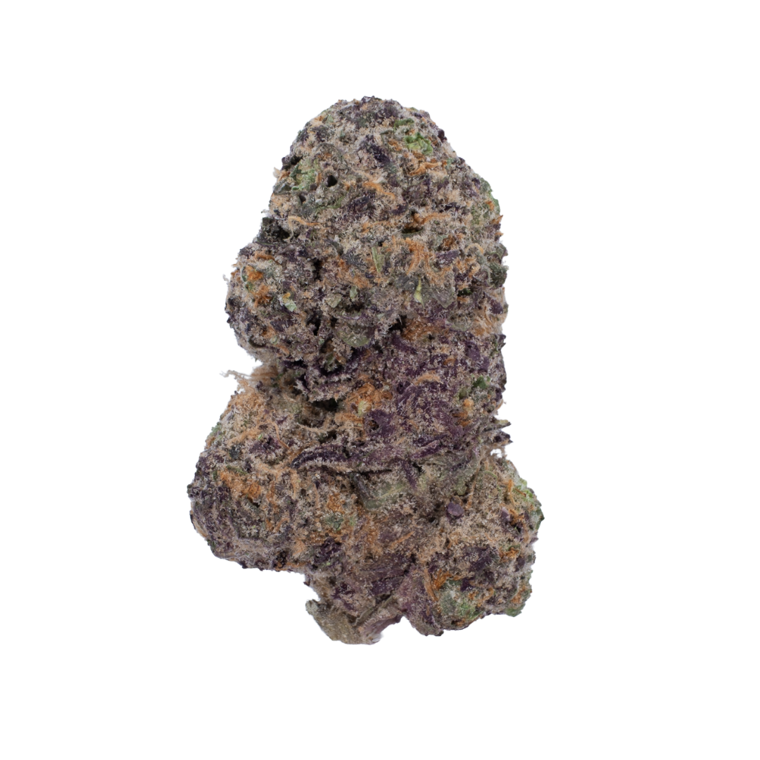Tropicanna Cherry