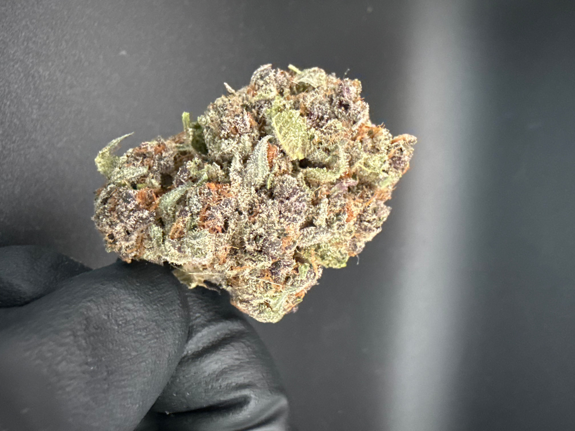 Tropicana Cherry - Premium THCa Flower