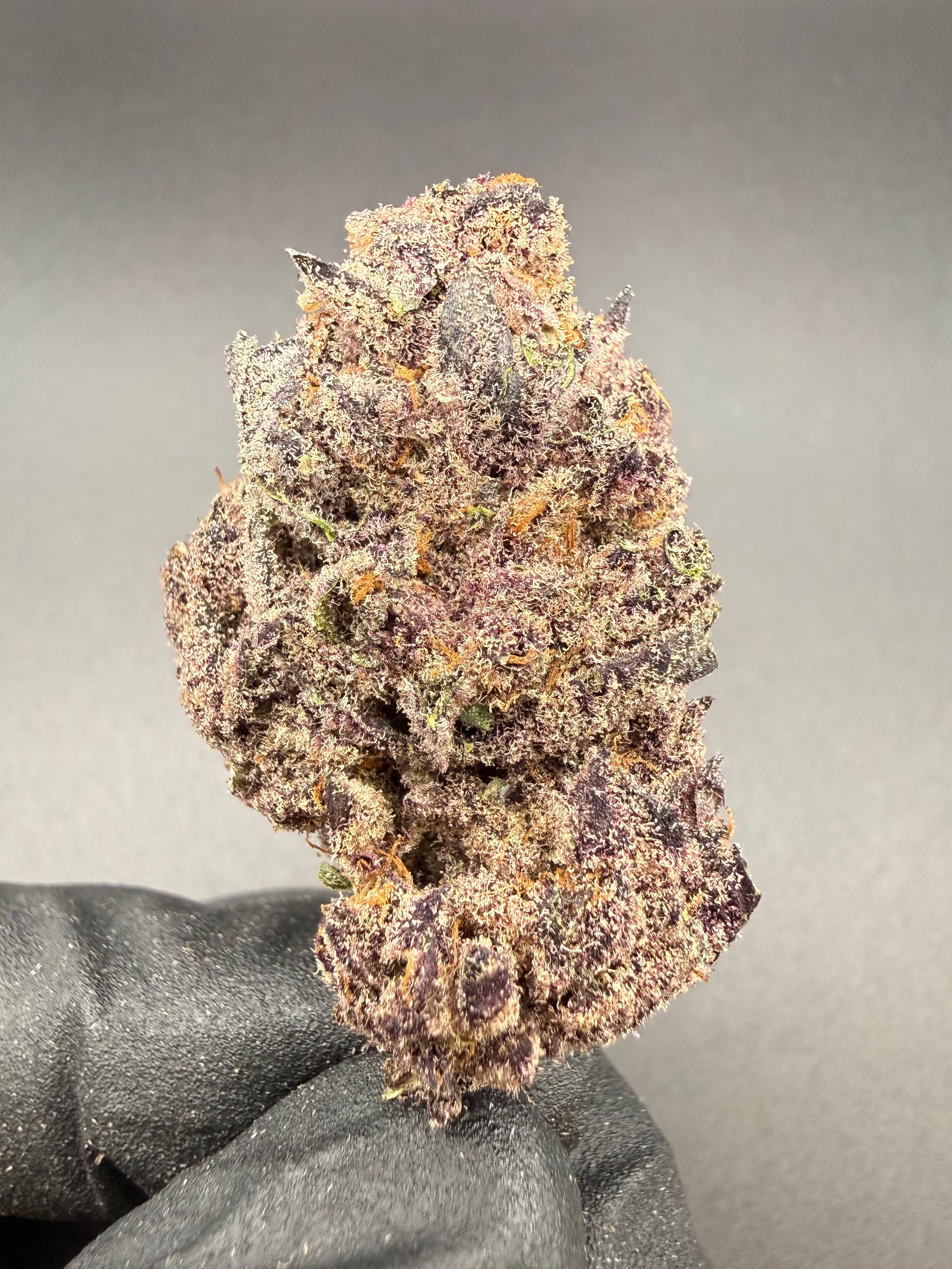 Tropicanna Cherry -  Premium Bulk THCa Flower